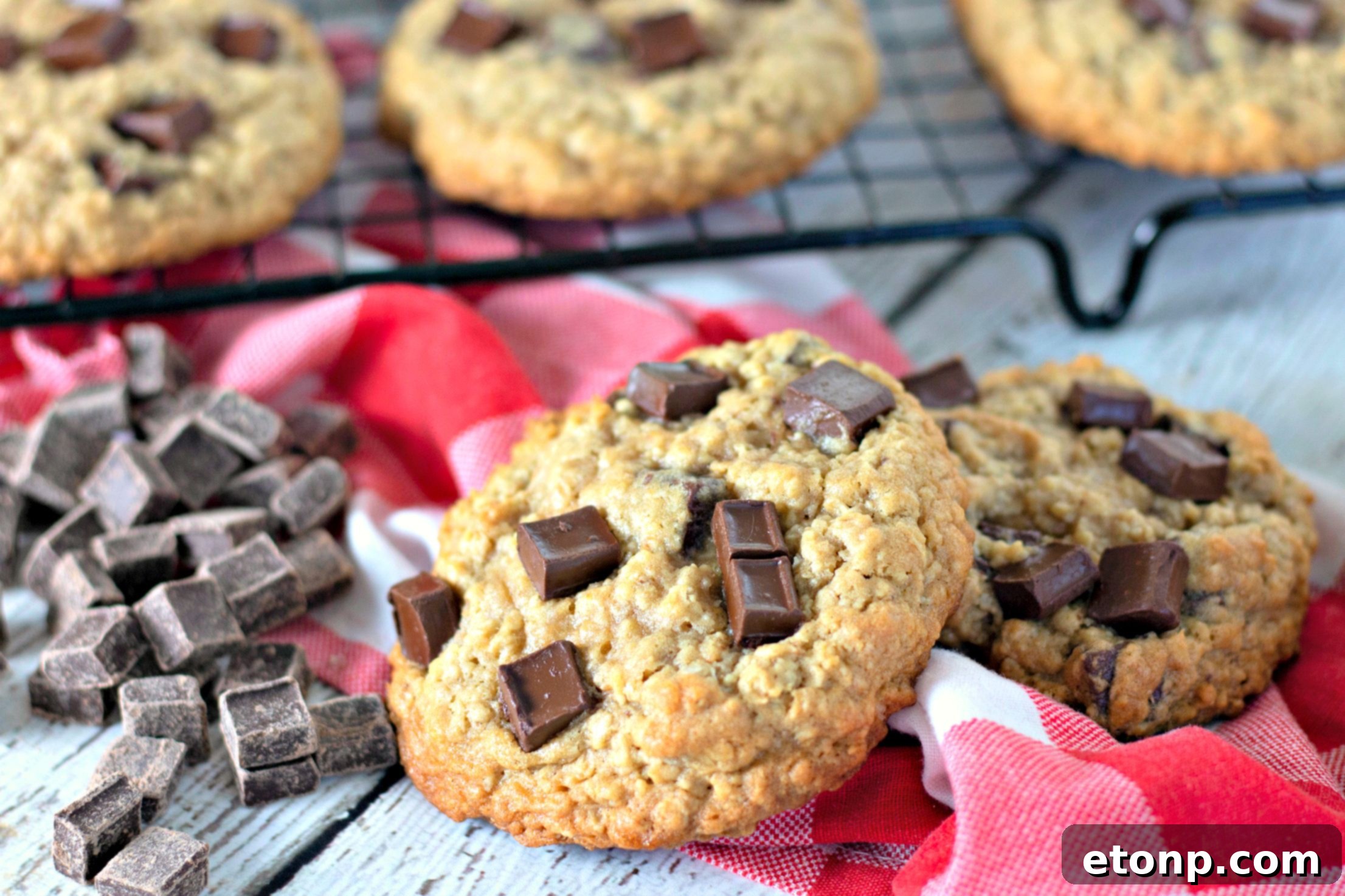 Chewy Jumbo Chocolate Chunk Oat Cookies 9 A single giant chocolate chunk oatmeal cookie on a white plate