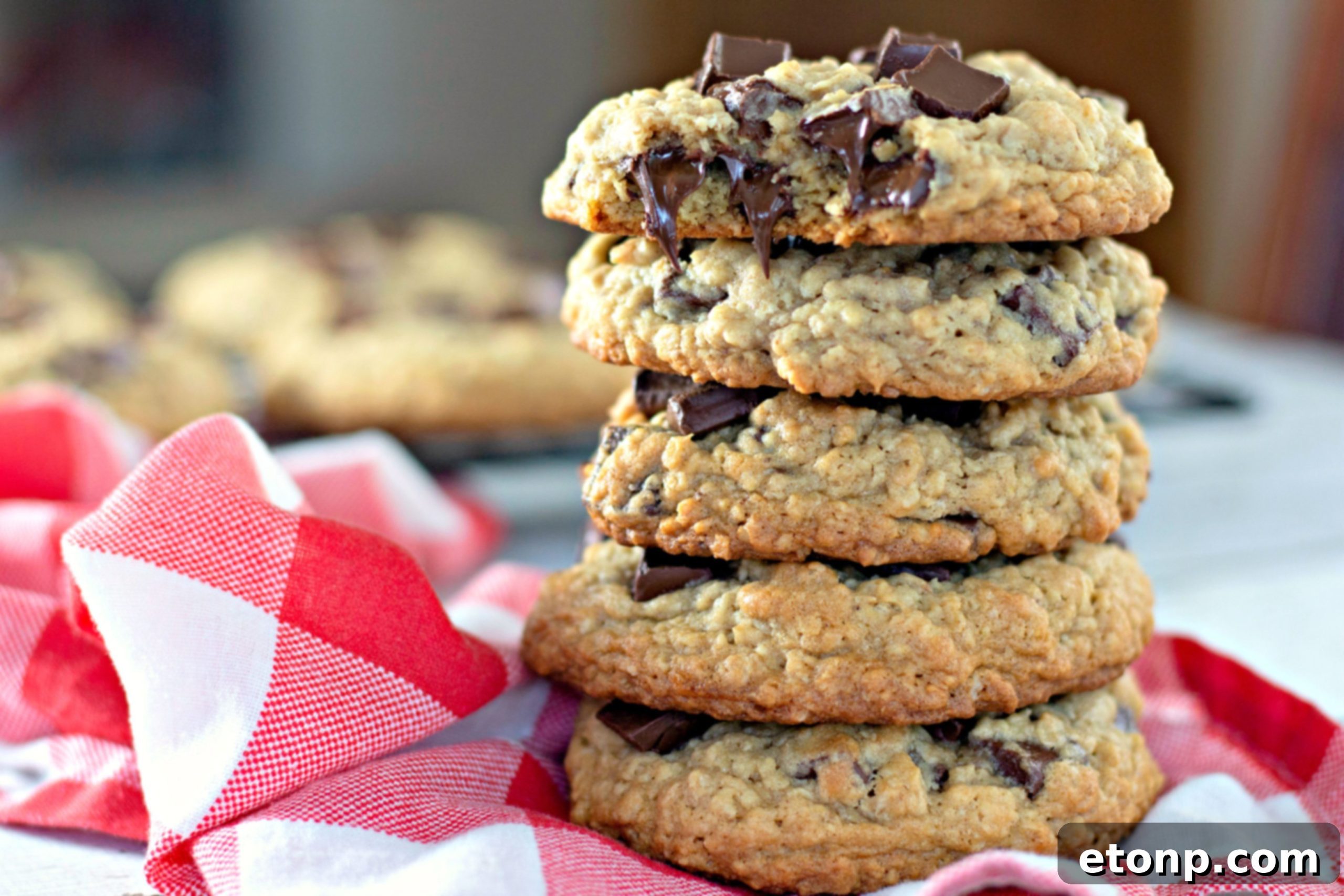 Chewy Jumbo Chocolate Chunk Oat Cookies 10 A giant chocolate chunk oatmeal cookie with a bite taken out