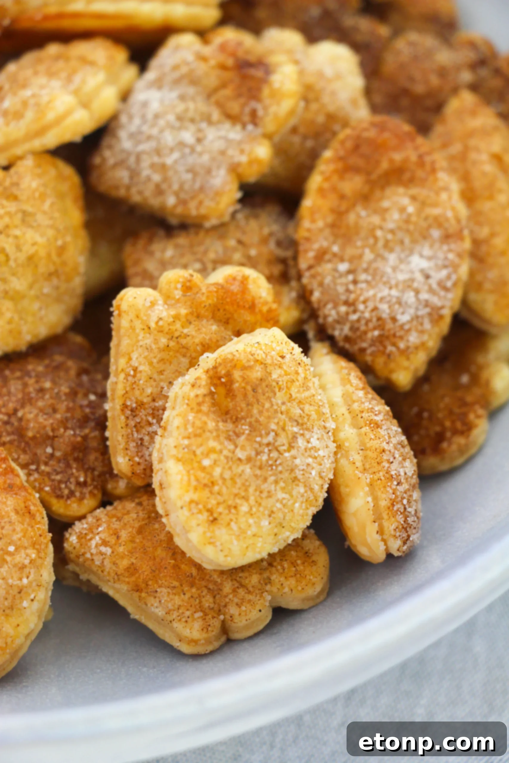 Close-up of golden brown Snickerdoodle Pie Crust Cookies sprinkled with cinnamon sugar on a white plate