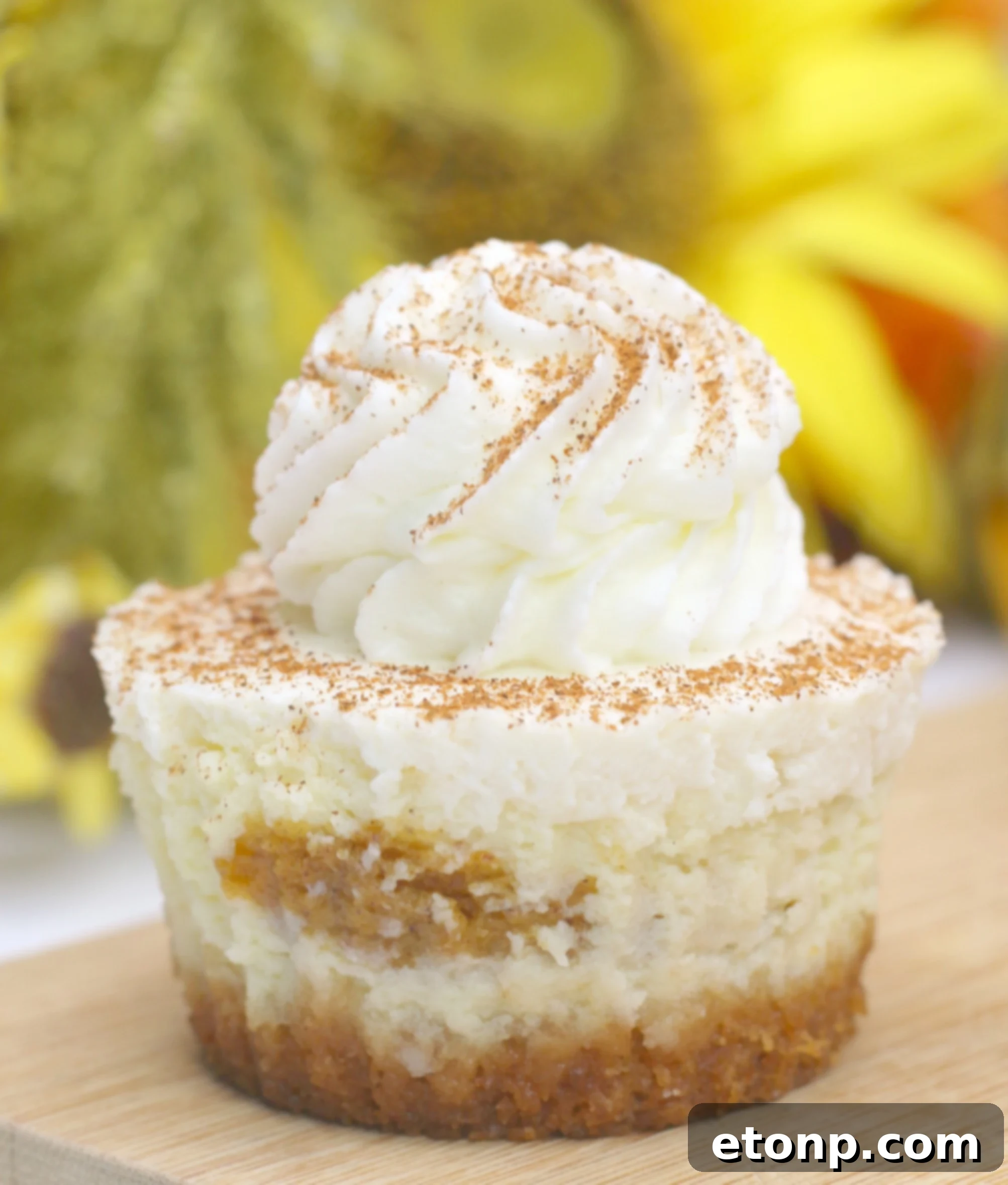 Close-up of a single Pumpkin Swirl Cheesecake in a cupcake liner, topped with whipped cream and a sprinkle of cinnamon, showcasing the beautiful swirl.