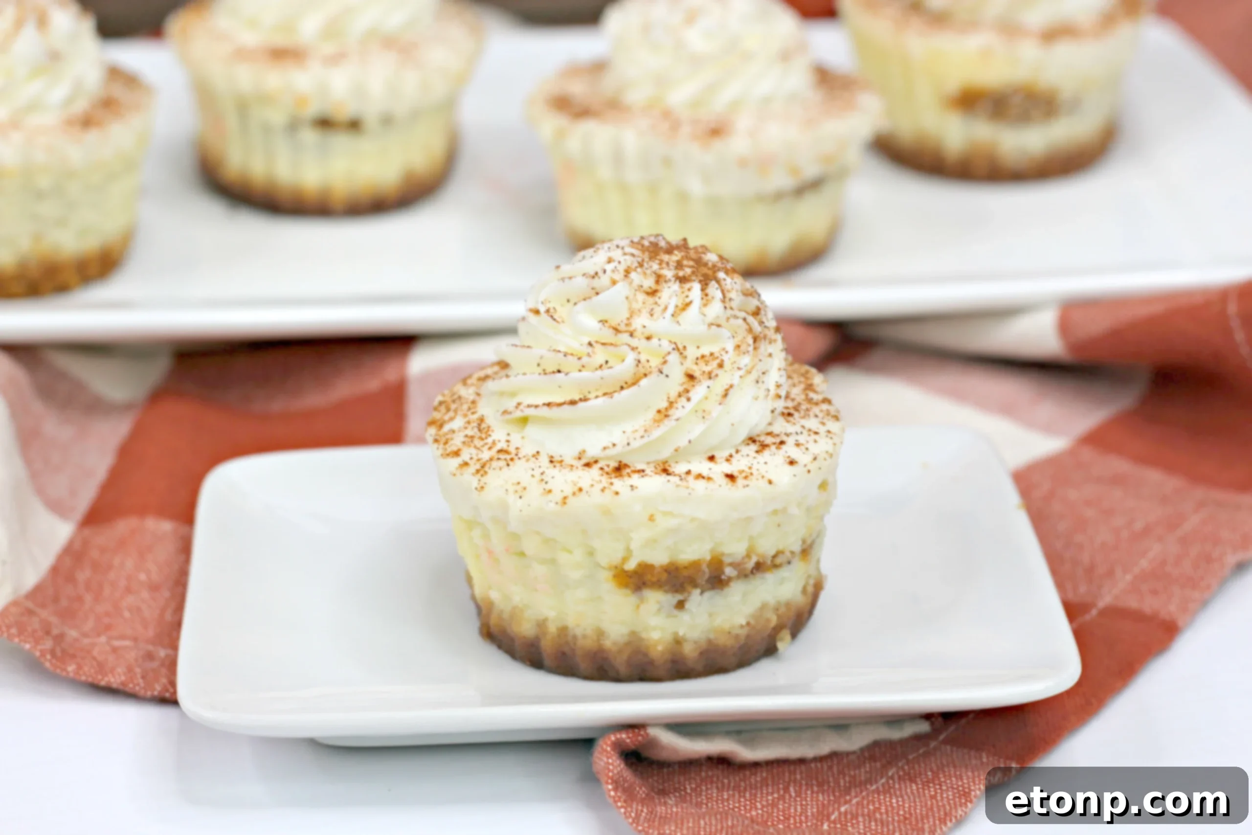 A tray of freshly baked Pumpkin Swirl Cheesecakes, each showing distinct pumpkin and cream cheese swirls, ready for topping.