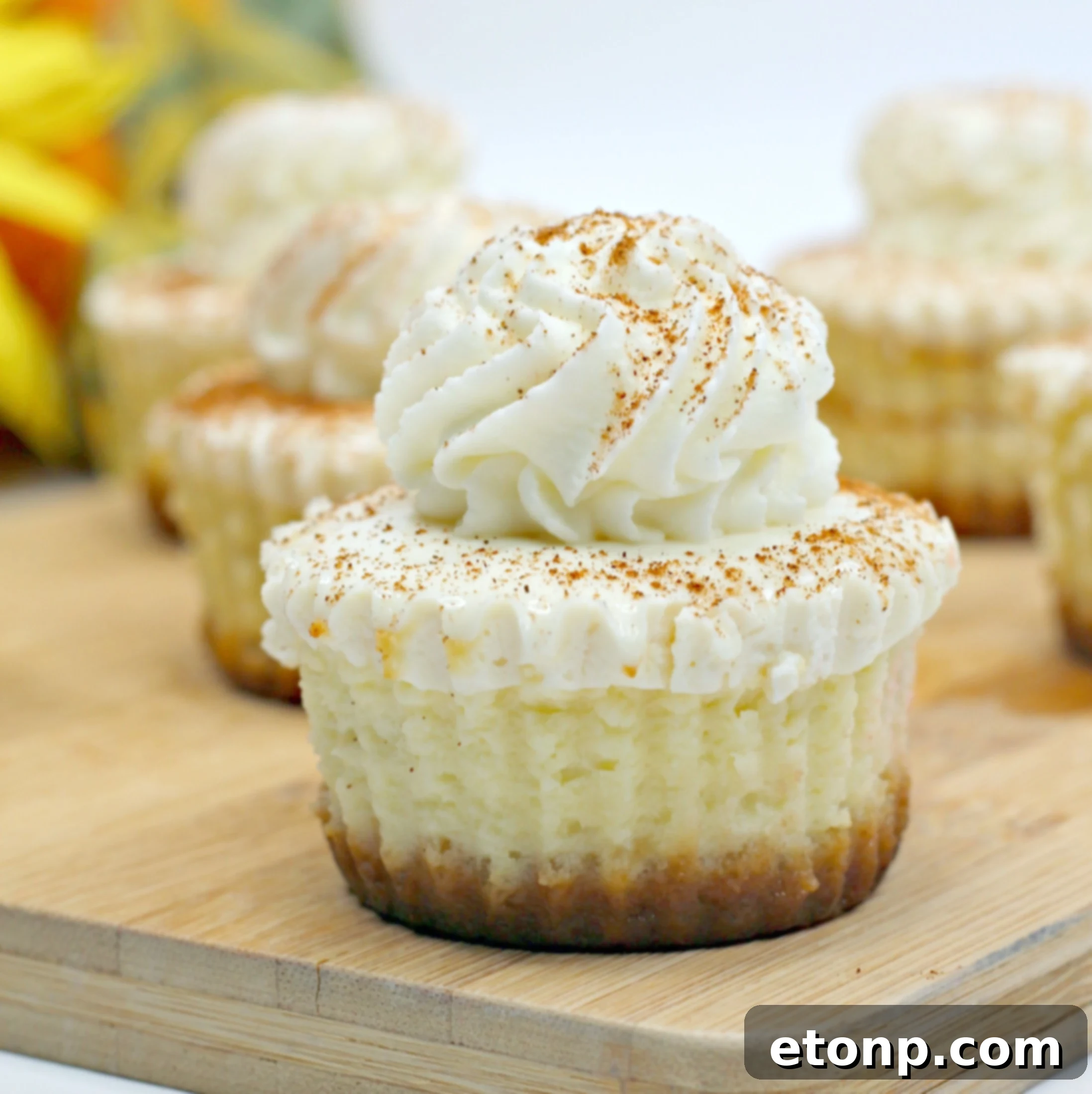 Top-down view of several Pumpkin Swirl Cheesecakes garnished with a generous dollop of whipped cream and a dusting of cinnamon.
