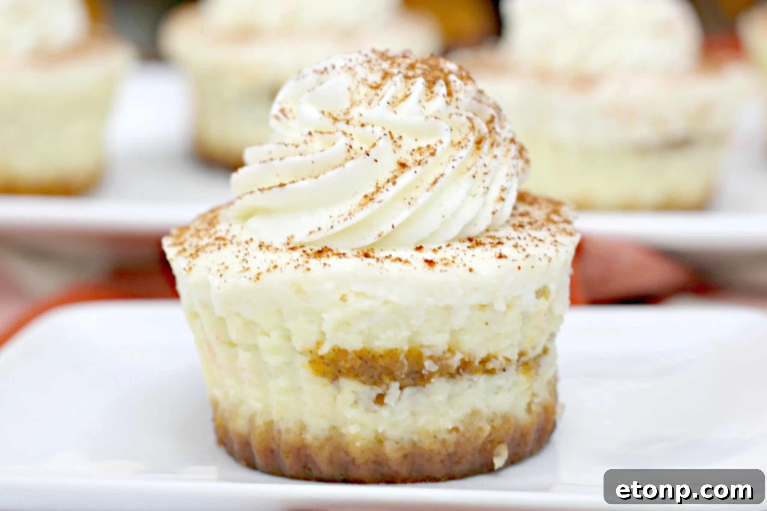 A close-up of a Pumpkin Swirl Cheesecake in a cupcake liner, revealing the intricate swirl pattern and smooth texture.