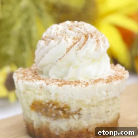 A finished Pumpkin Swirl Cheesecake, beautifully presented with whipped cream and cinnamon, ready to be enjoyed.