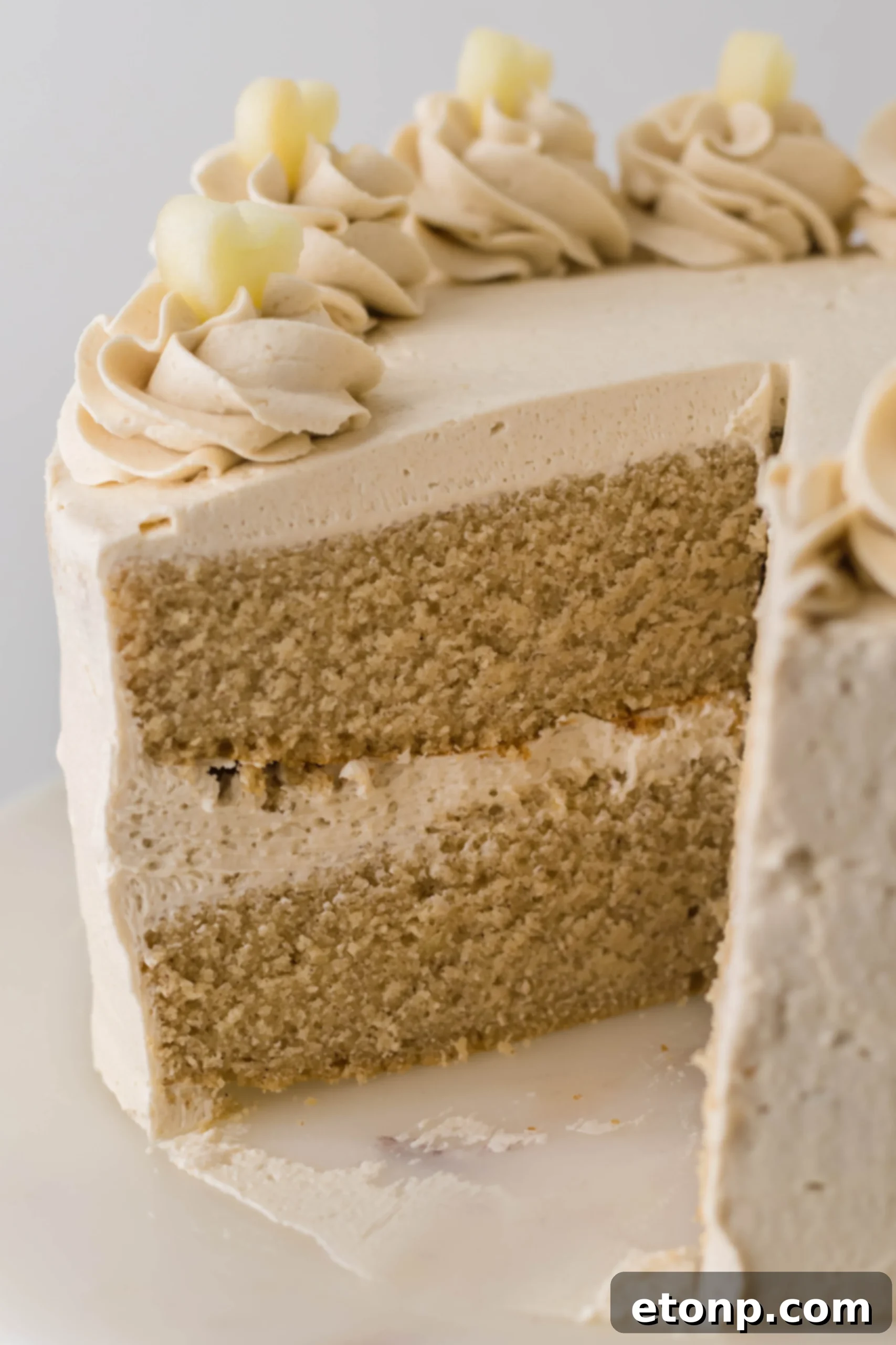 Two-tier apple cider cake with brown sugar buttercream frosting, garnished with apple slices and cinnamon