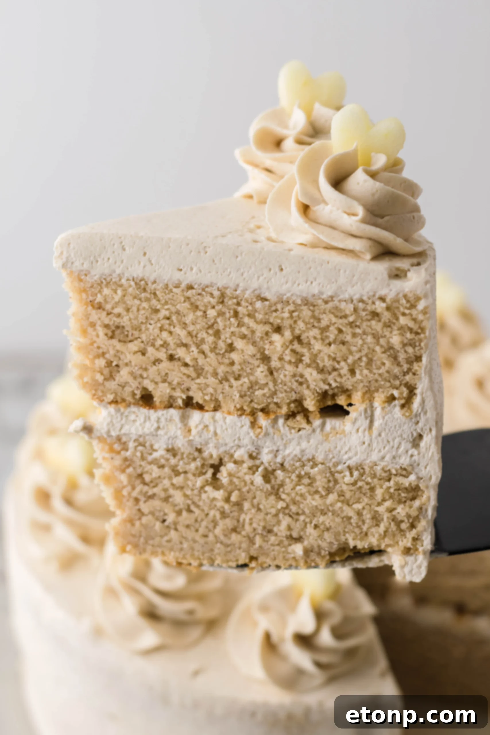 Close-up of the moist interior of the apple cider cake