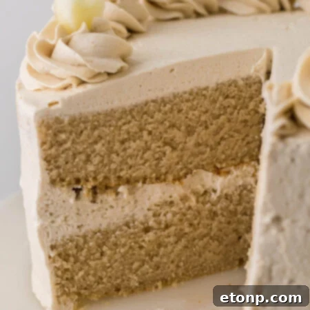 Apple Cider Cake with Brown Sugar Buttercream Frosting