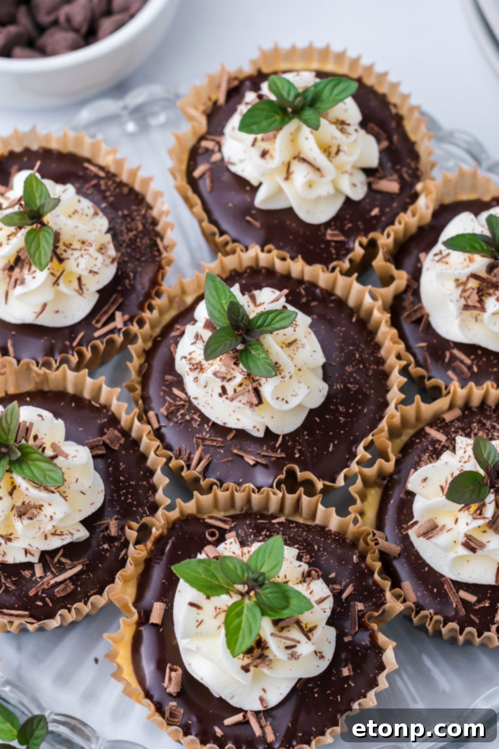 Mini Baileys Cheesecake on a plate, ready to be enjoyed