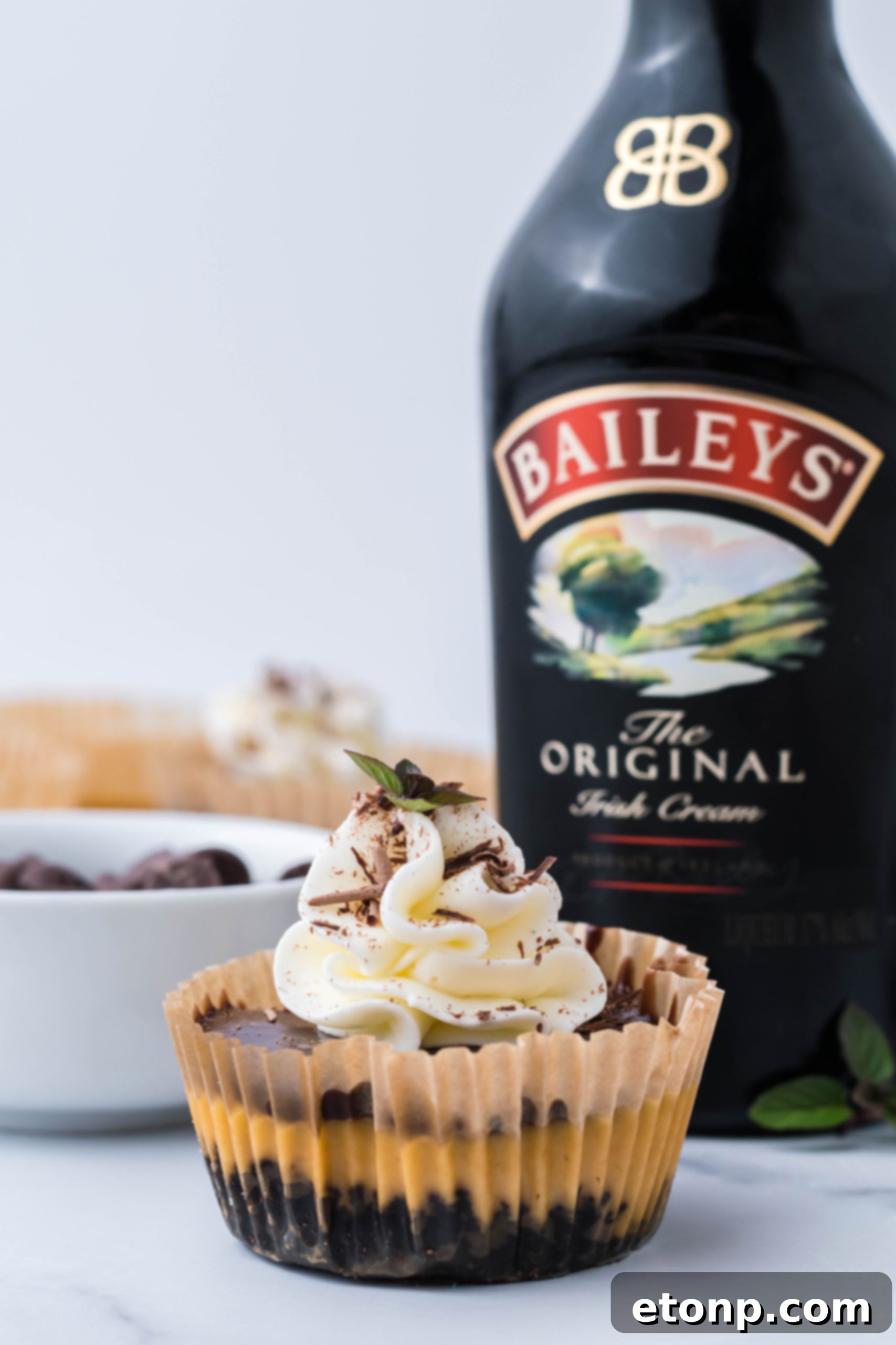 A tray of mini cheesecakes, some topped with chocolate ganache