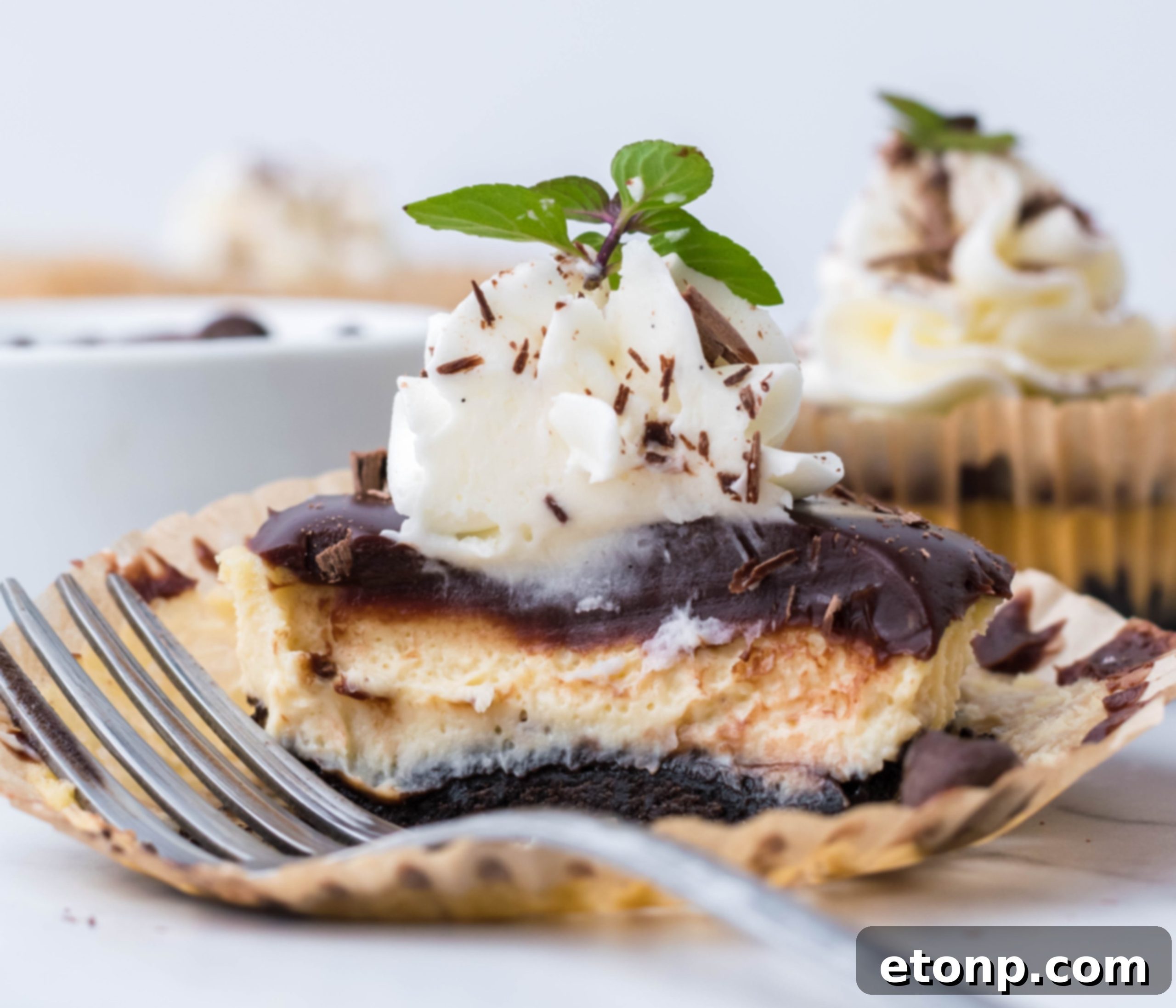 A pair of mini Baileys cheesecakes on a marble surface