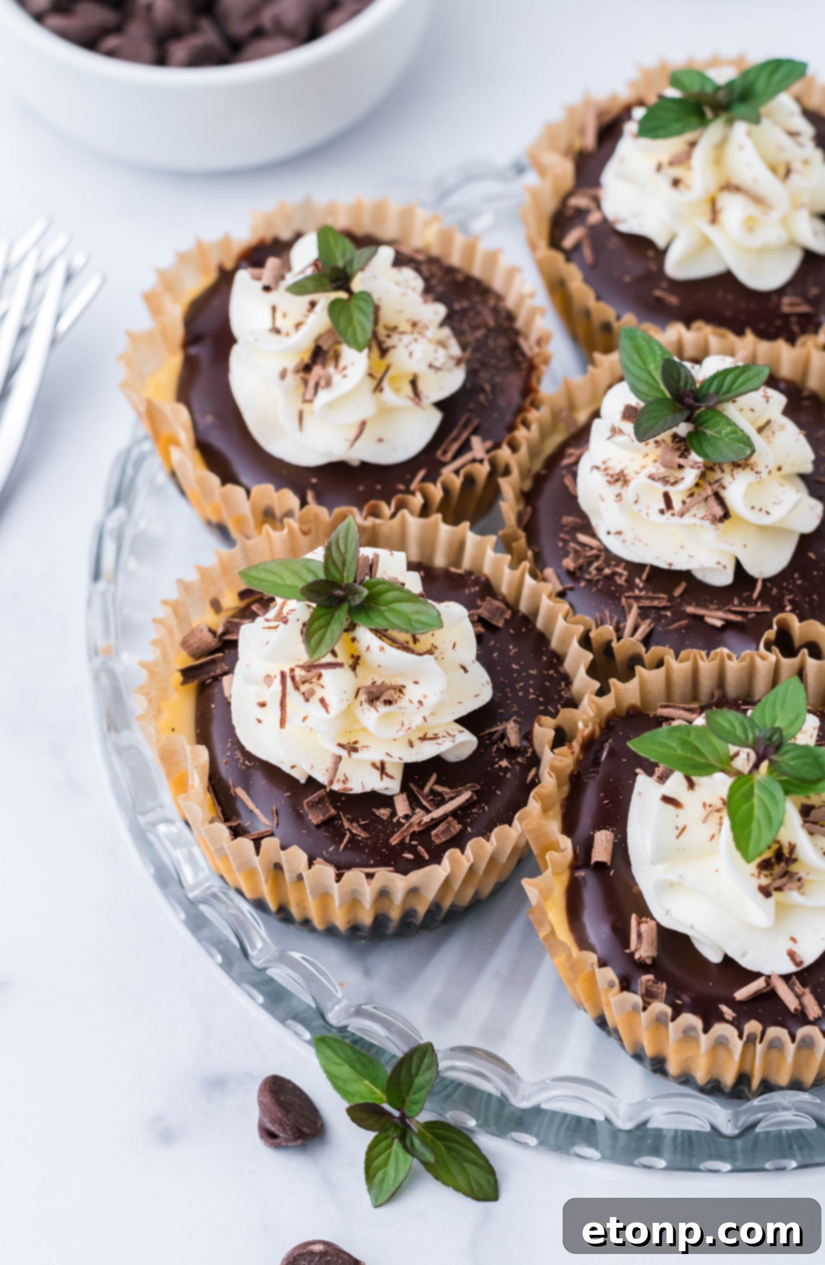 A beautifully arranged platter of desserts, including mini cheesecakes