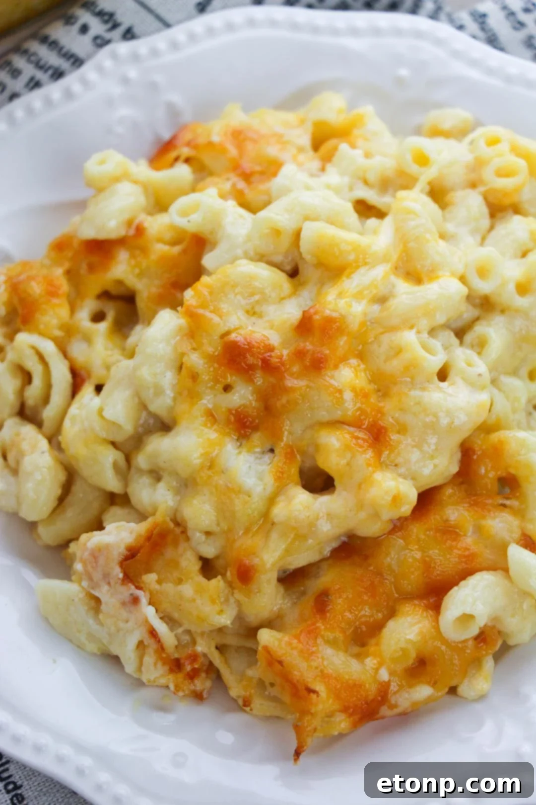 Delicious baked macaroni and cheese fresh out of the oven, golden brown and bubbly.