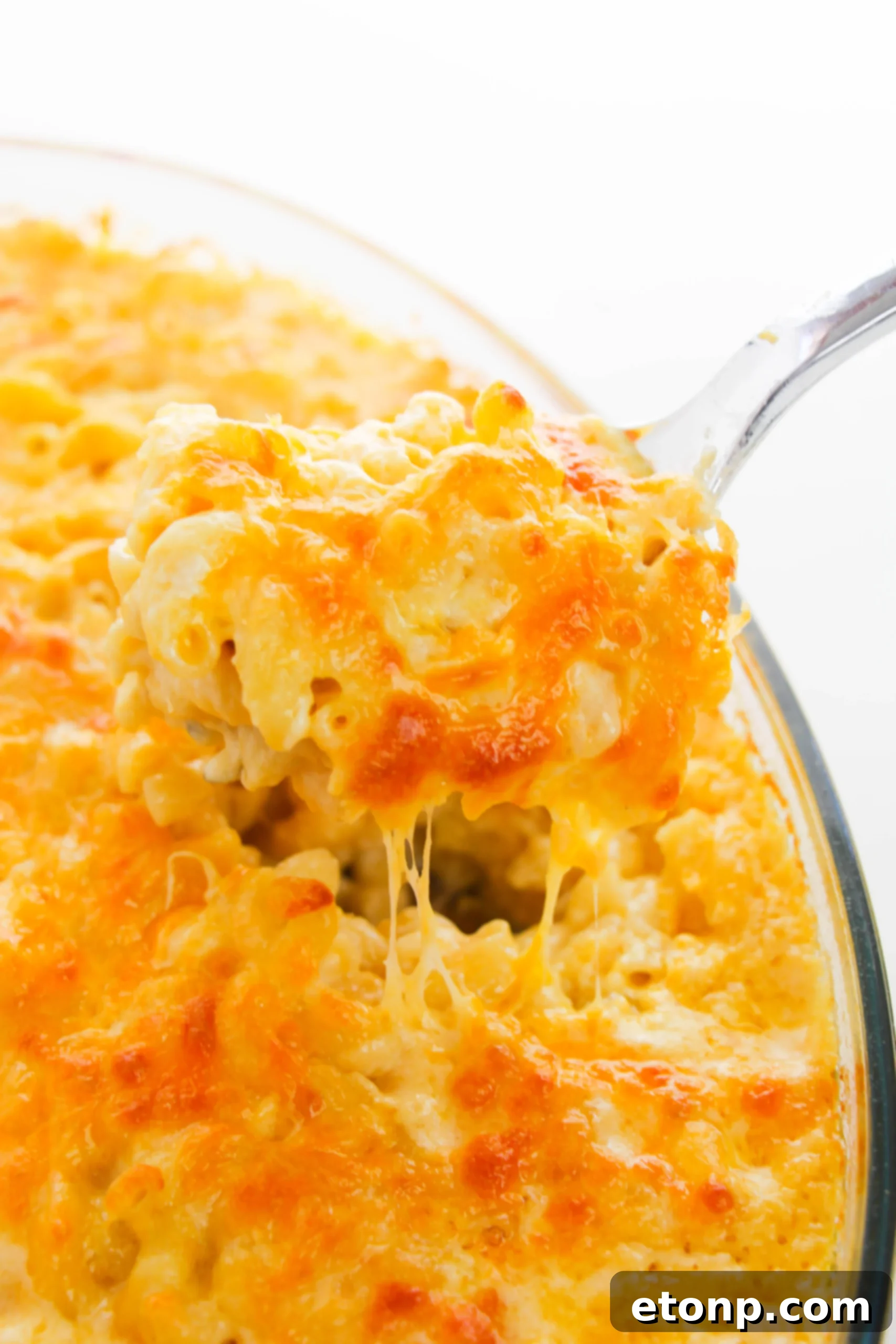 A large baking dish filled with bubbling, golden baked macaroni and cheese, ready to be served.