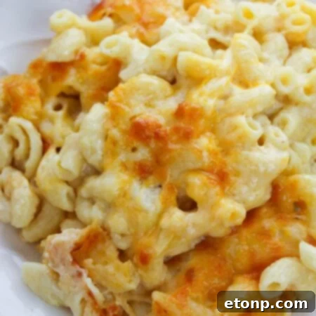 The finished Best Ever Baked Macaroni & Cheese, ready to serve.