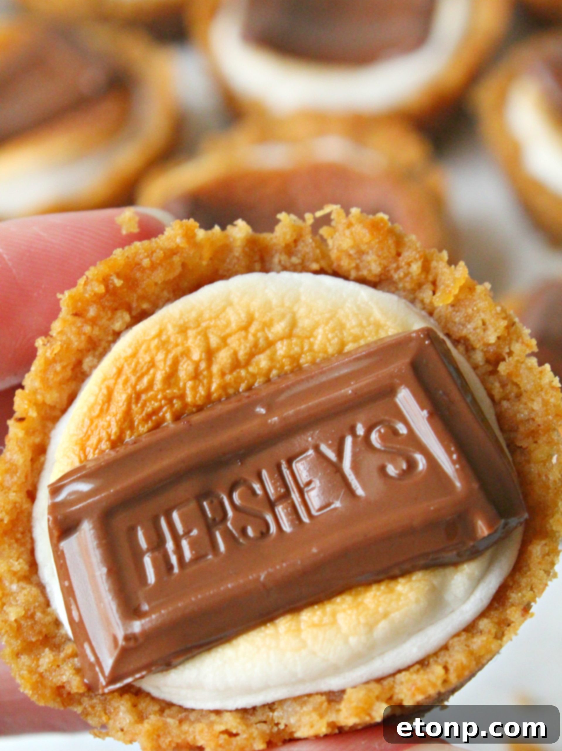 Fireside S'mores Cookie Bites 2 Delicious S'mores Cookie Cups with melted chocolate and toasted marshmallows, ready to be enjoyed as a quick dessert.