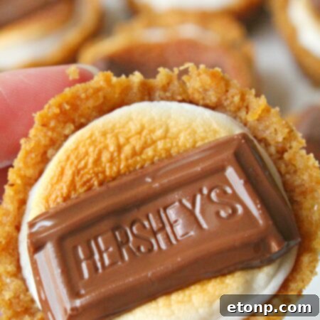 S'mores Cookie Cups, a delightful and easy-to-make dessert for any occasion.