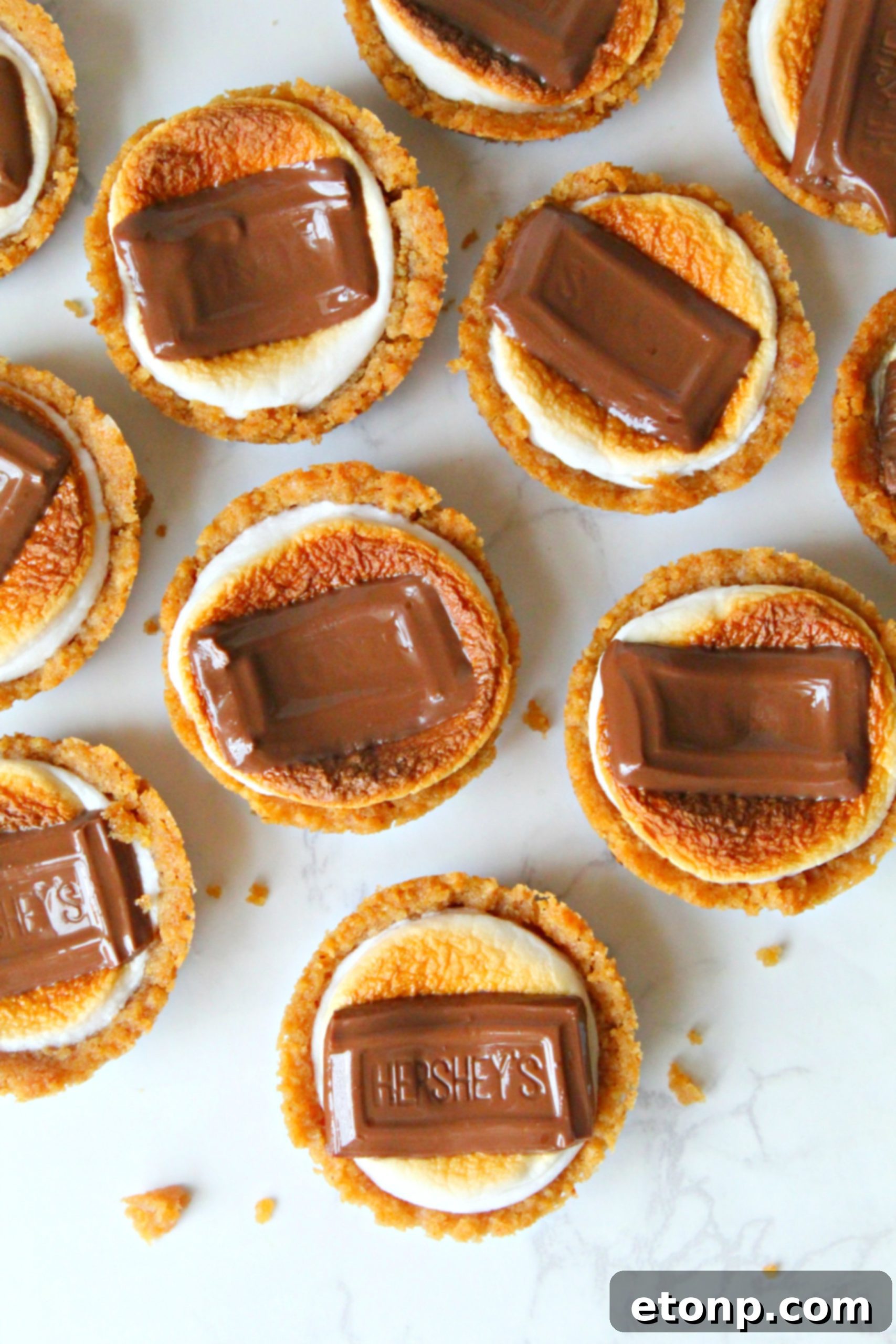 Fireside S'mores Cookie Bites 5 Instructions for making graham cracker crumbs using a food processor or a Ziploc bag and rolling pin.