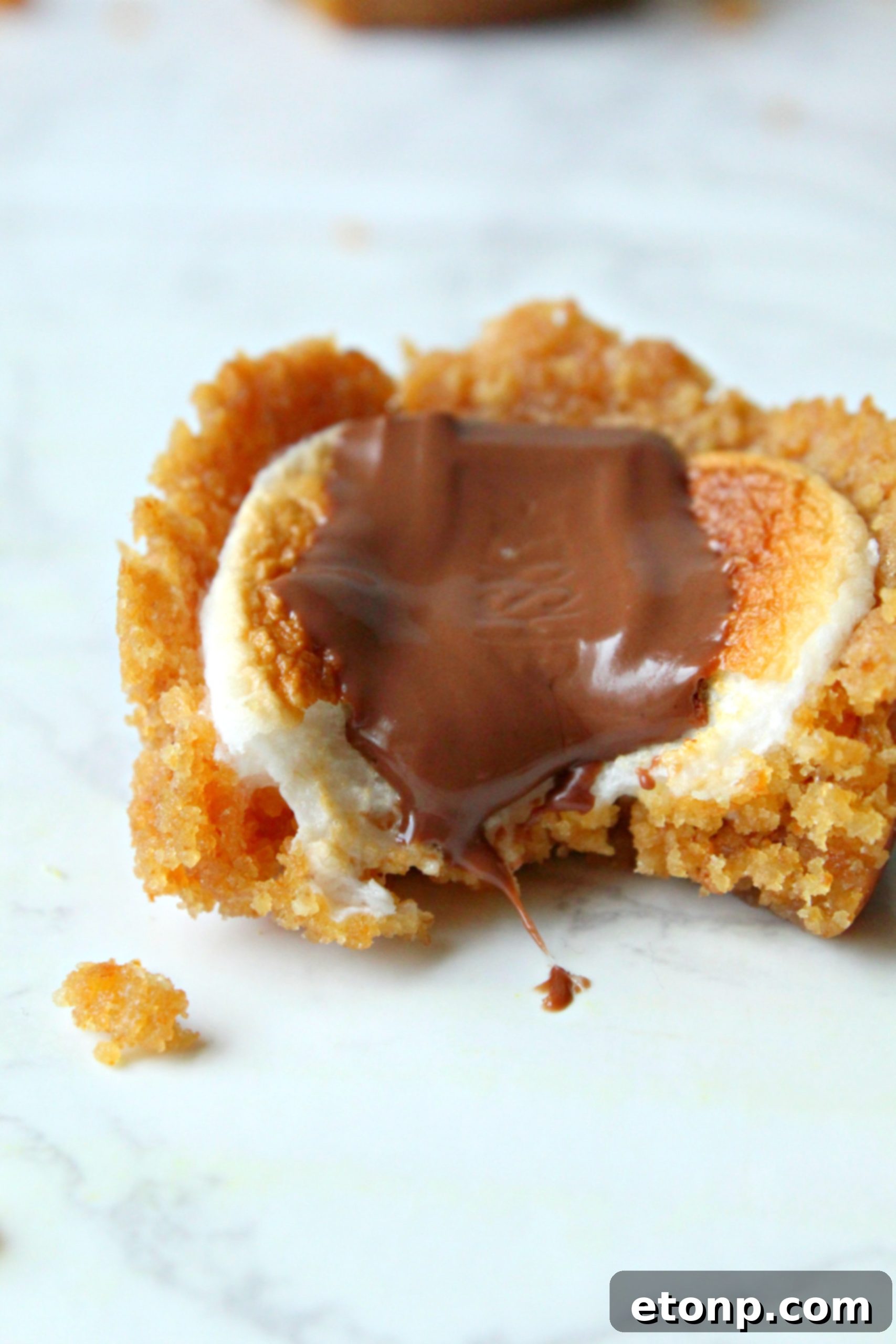 Fireside S'mores Cookie Bites 7 Different flavors of graham crackers, including honey, vanilla, and chocolate, for S'mores Cookie Cups.