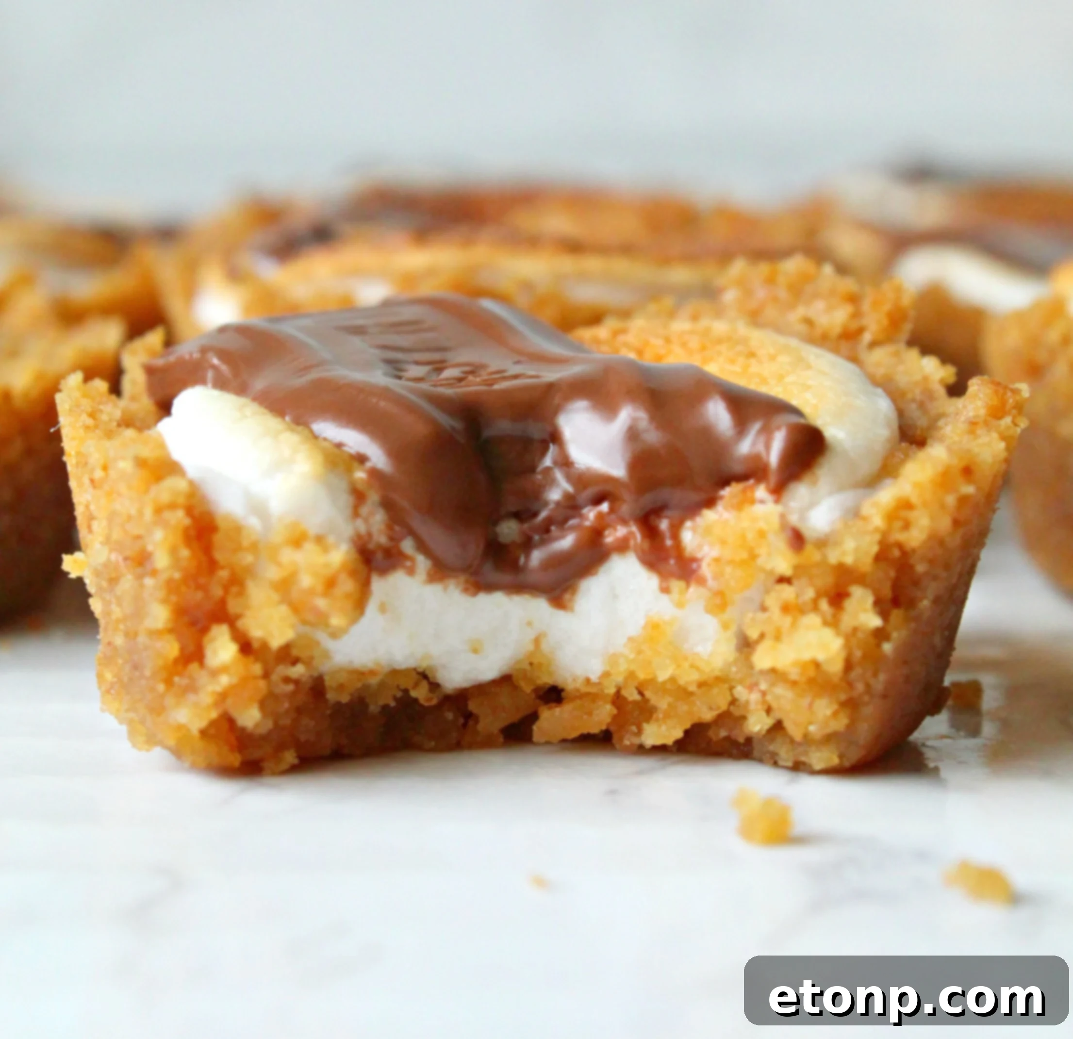 Fireside S'mores Cookie Bites 10 A festive spread of S'mores Cookie Cups, ideal for parties and special occasions.