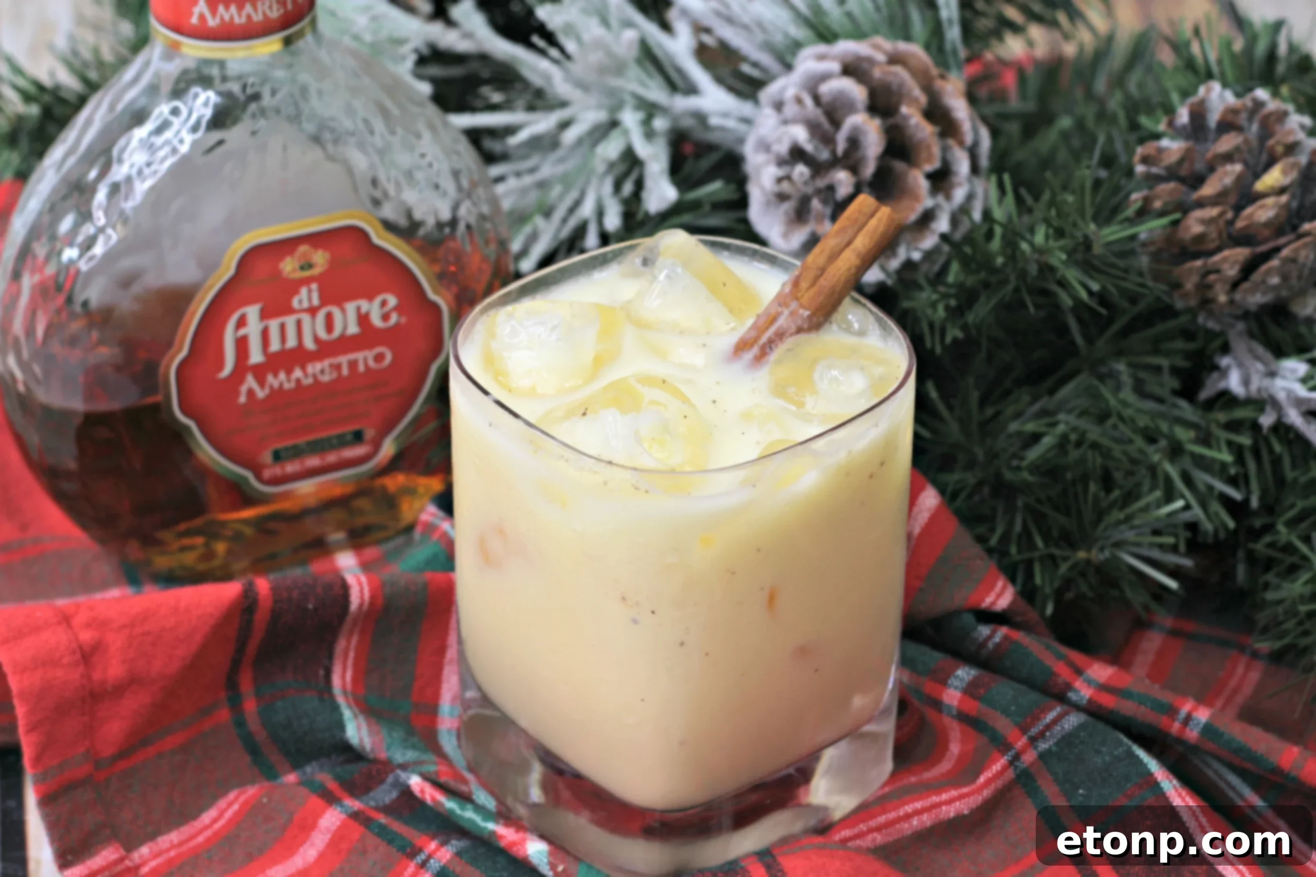 Amaretto Nog Delight 3 Close-up of Eggnog Amaretto Cocktail with cinnamon