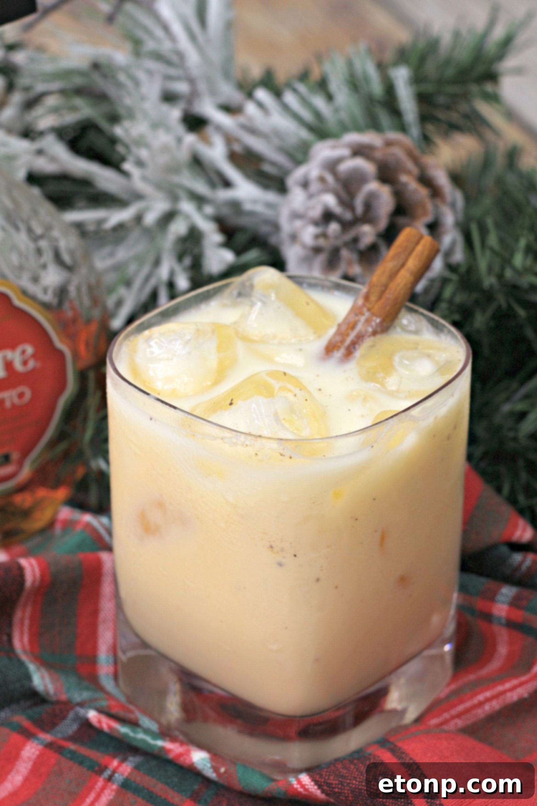 Amaretto Nog Delight 5 Eggnog Amaretto Cocktail in a glass with cinnamon stick