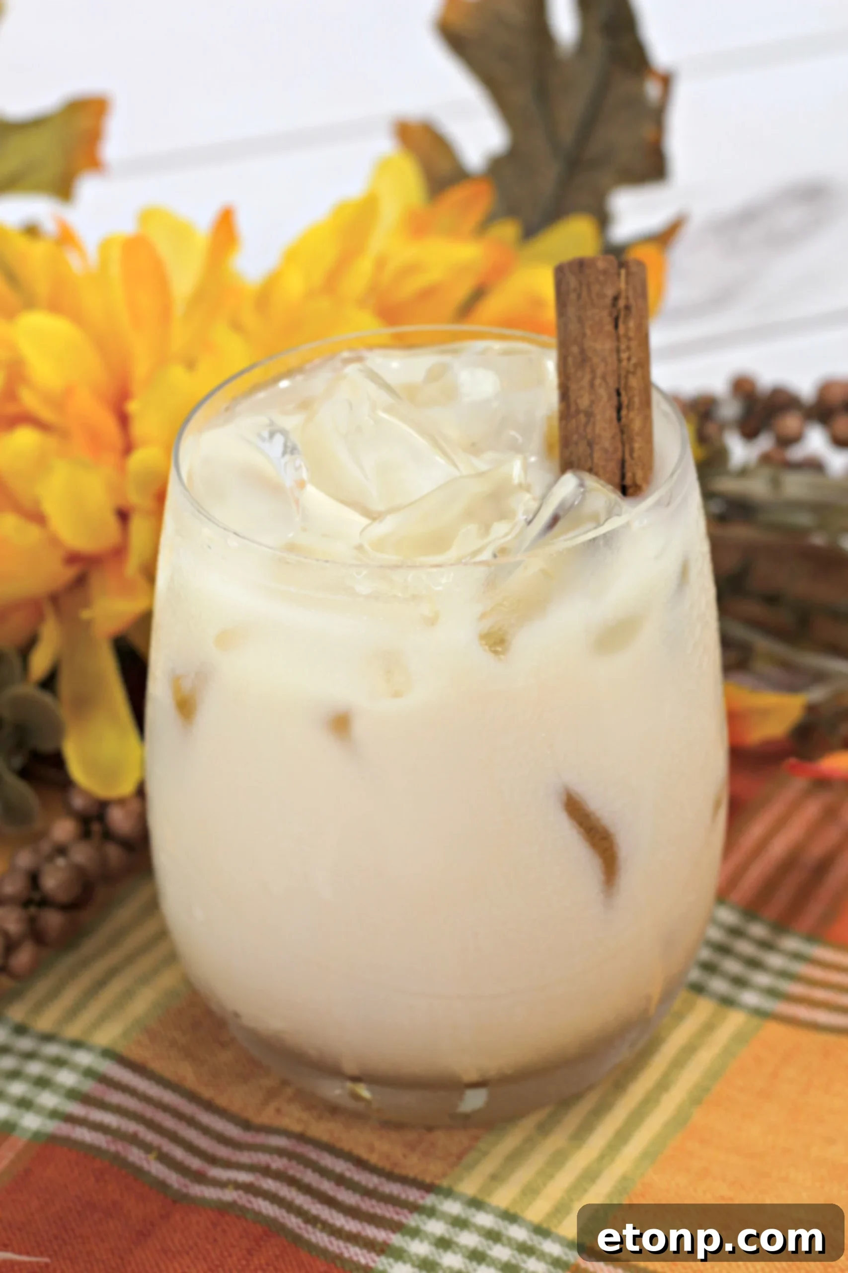 Pumpkin Spice White Russian Cocktail served in a glass with ice and a cinnamon stick garnish, perfect for fall and Thanksgiving.