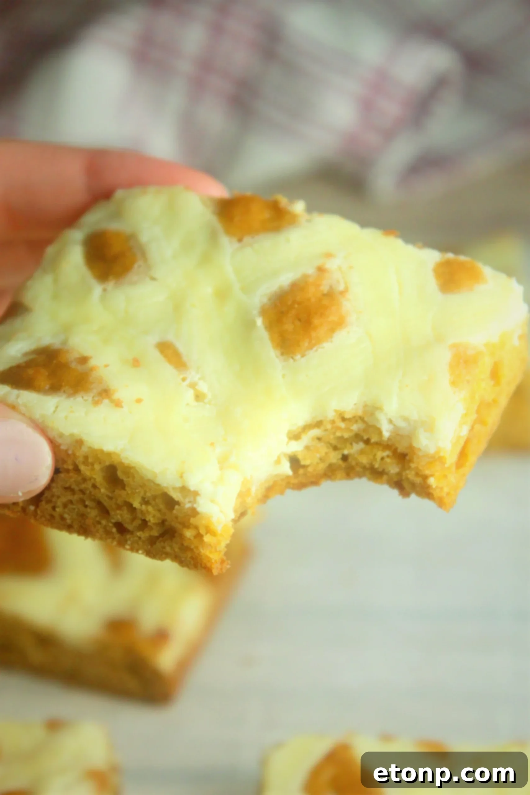 Extreme Cream Cheese Pumpkin Bars with a thick cream cheese swirl, freshly baked and ready to be served.