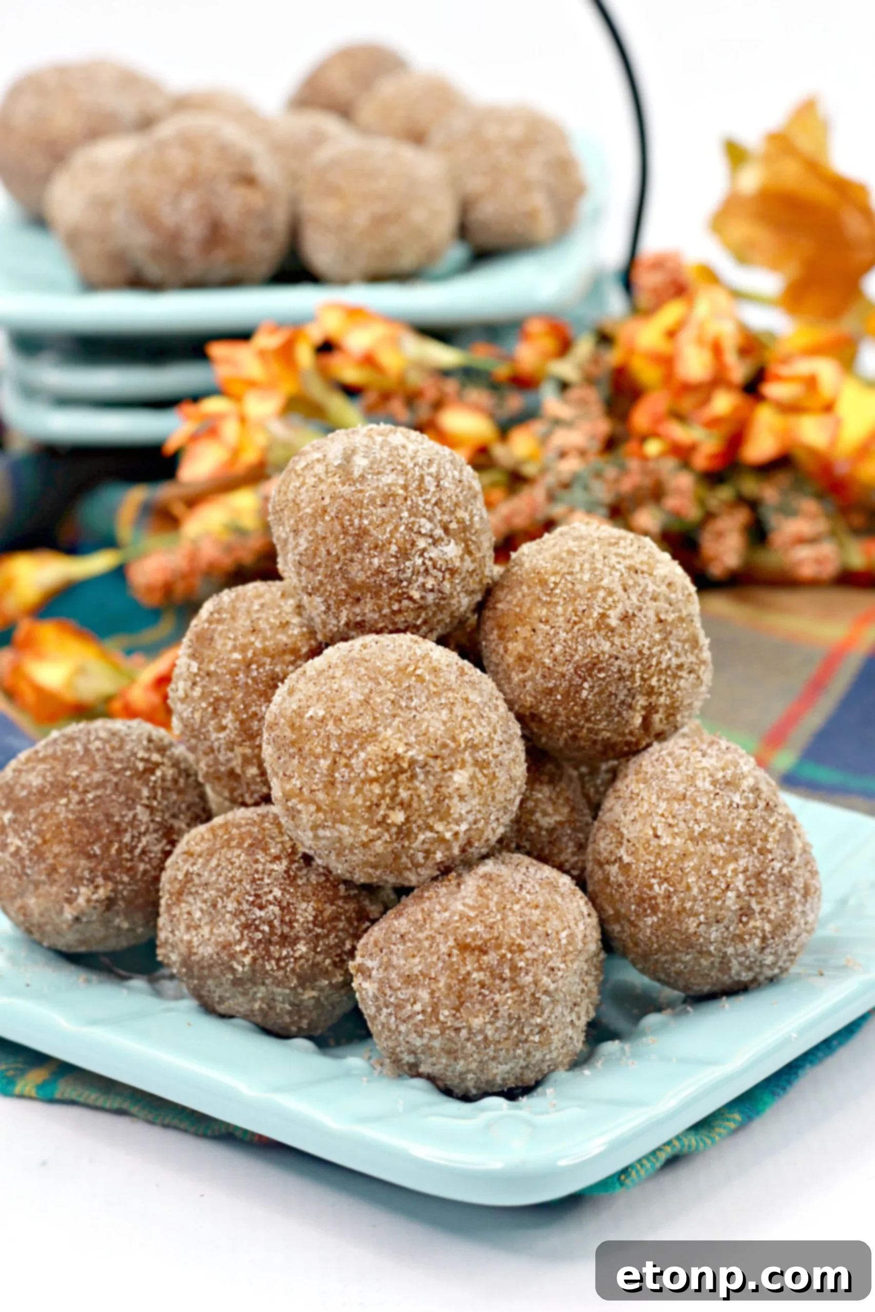 Close-up of baked Pumpkin Snickerdoodle Donut Holes coated in cinnamon sugar