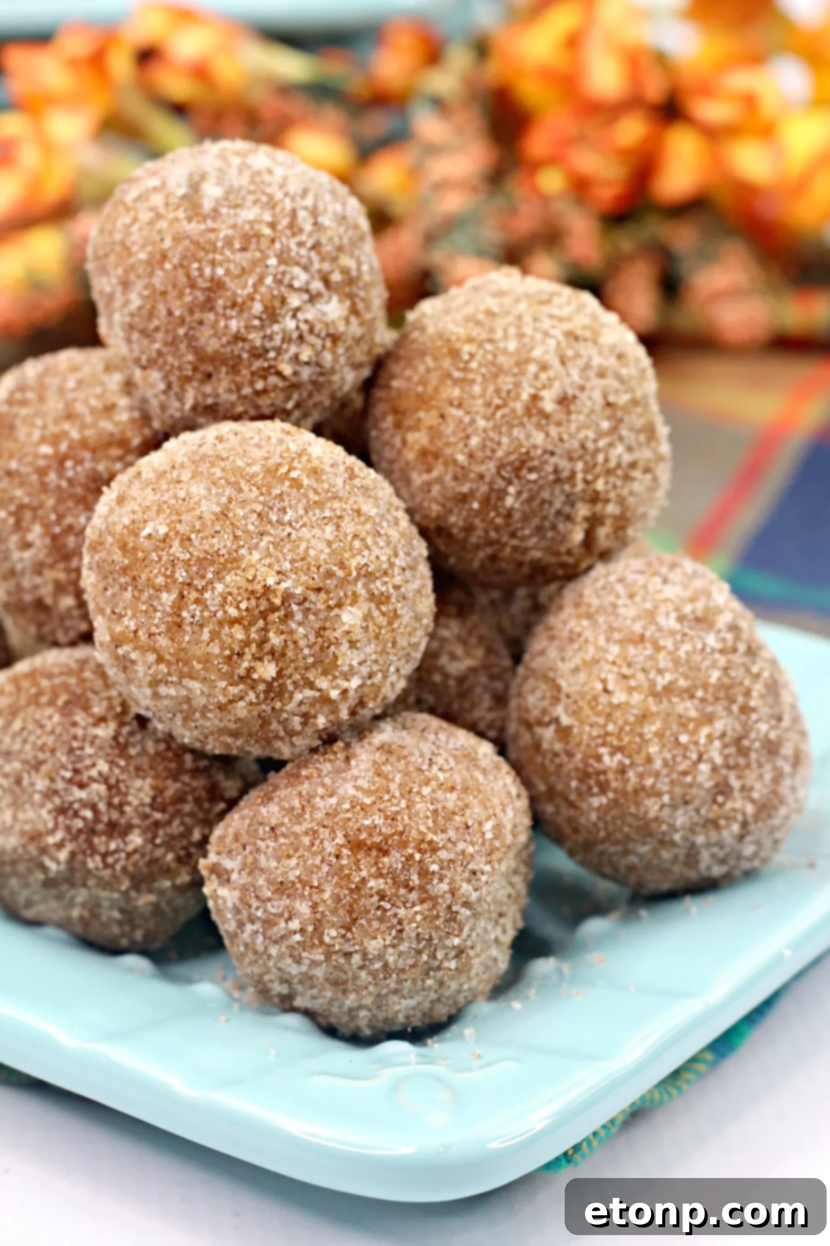 Platter of freshly baked Pumpkin Snickerdoodle Donut Holes ready to be served