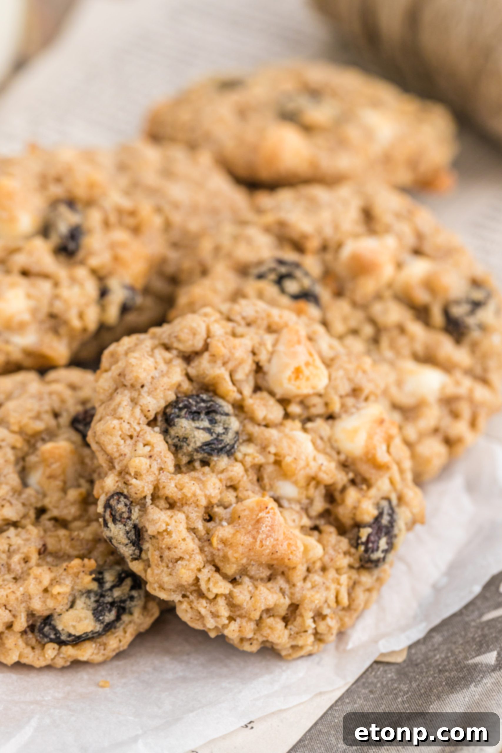 Chewy Oatmeal Raisin Cookies 5 Oatmeal raisin cookies arranged on a platter, ready to be served.
