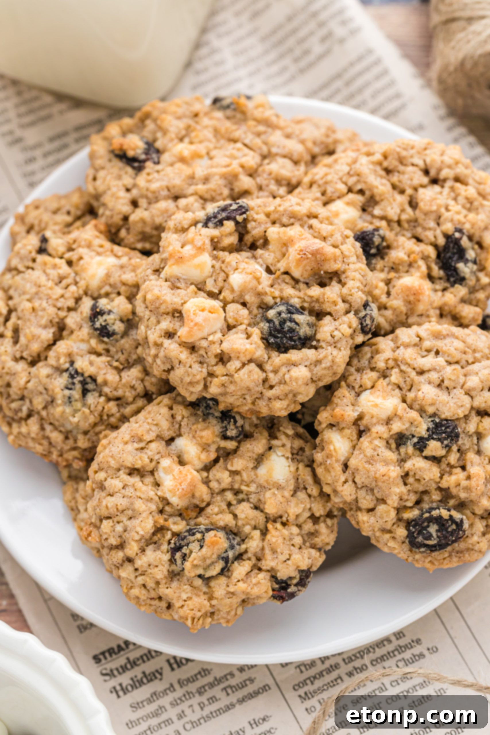 Chewy Oatmeal Raisin Cookies 8 Close-up of a perfect oatmeal raisin cookie, showcasing its texture and ingredients.