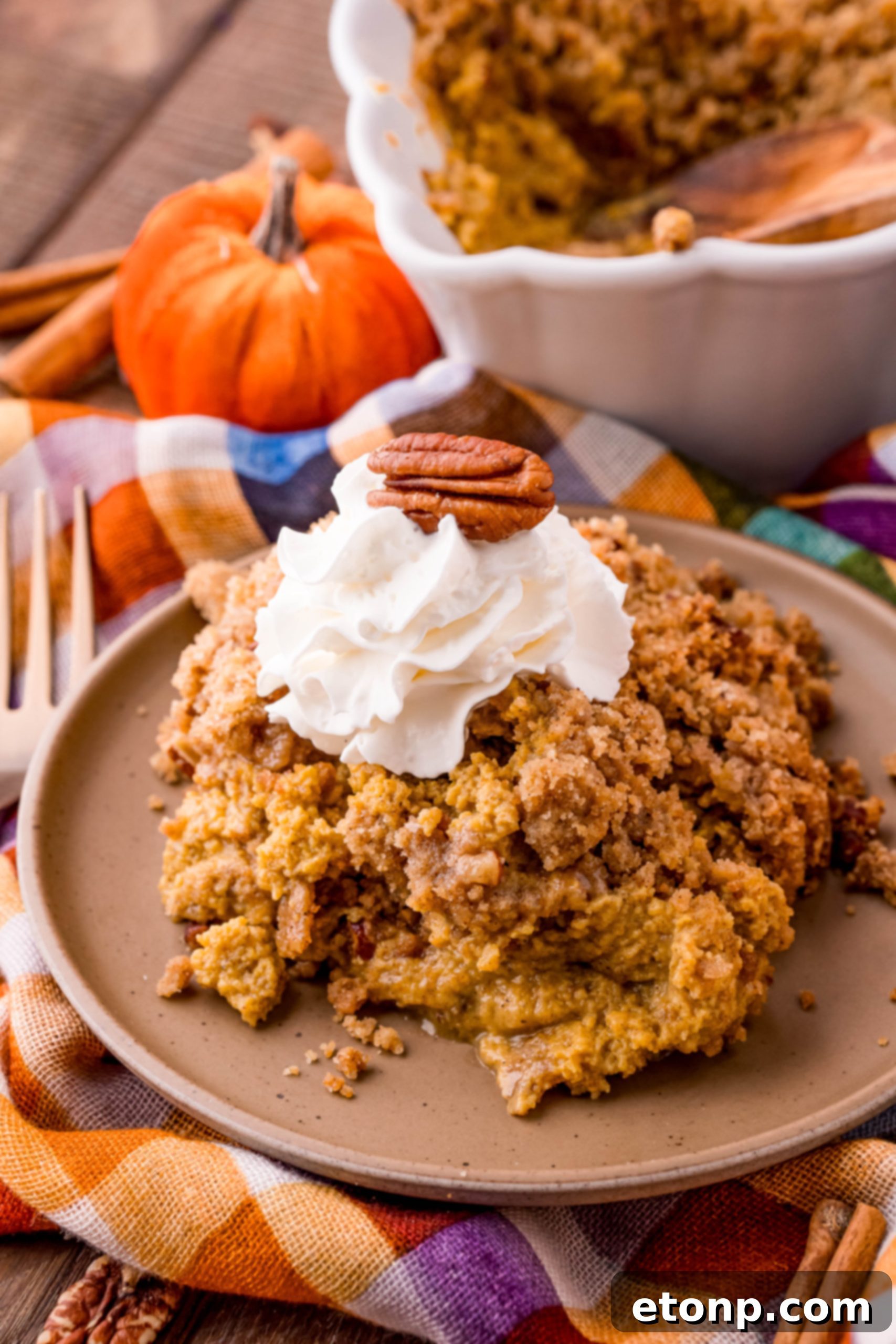 Pumpkin Pie Crisp served with a generous amount of whipped cream.
