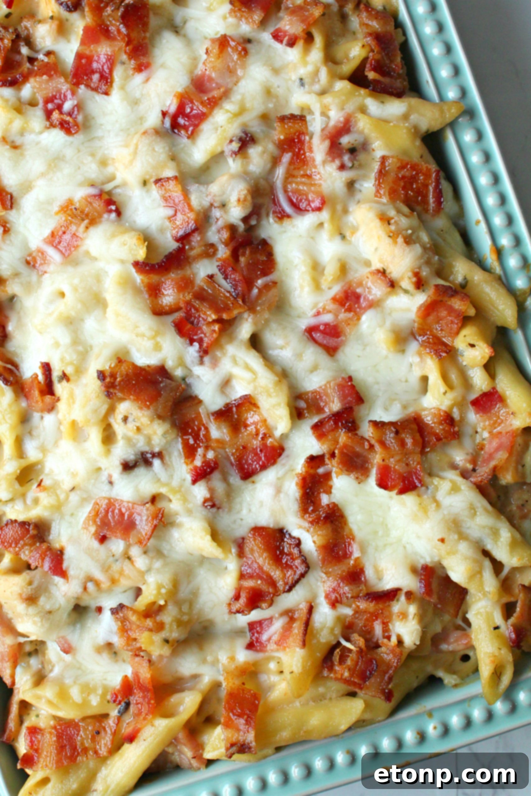 Ultimate Chicken Bacon Ranch Penne 7 Different pasta shapes displayed, highlighting penne as the ideal choice for this creamy casserole.