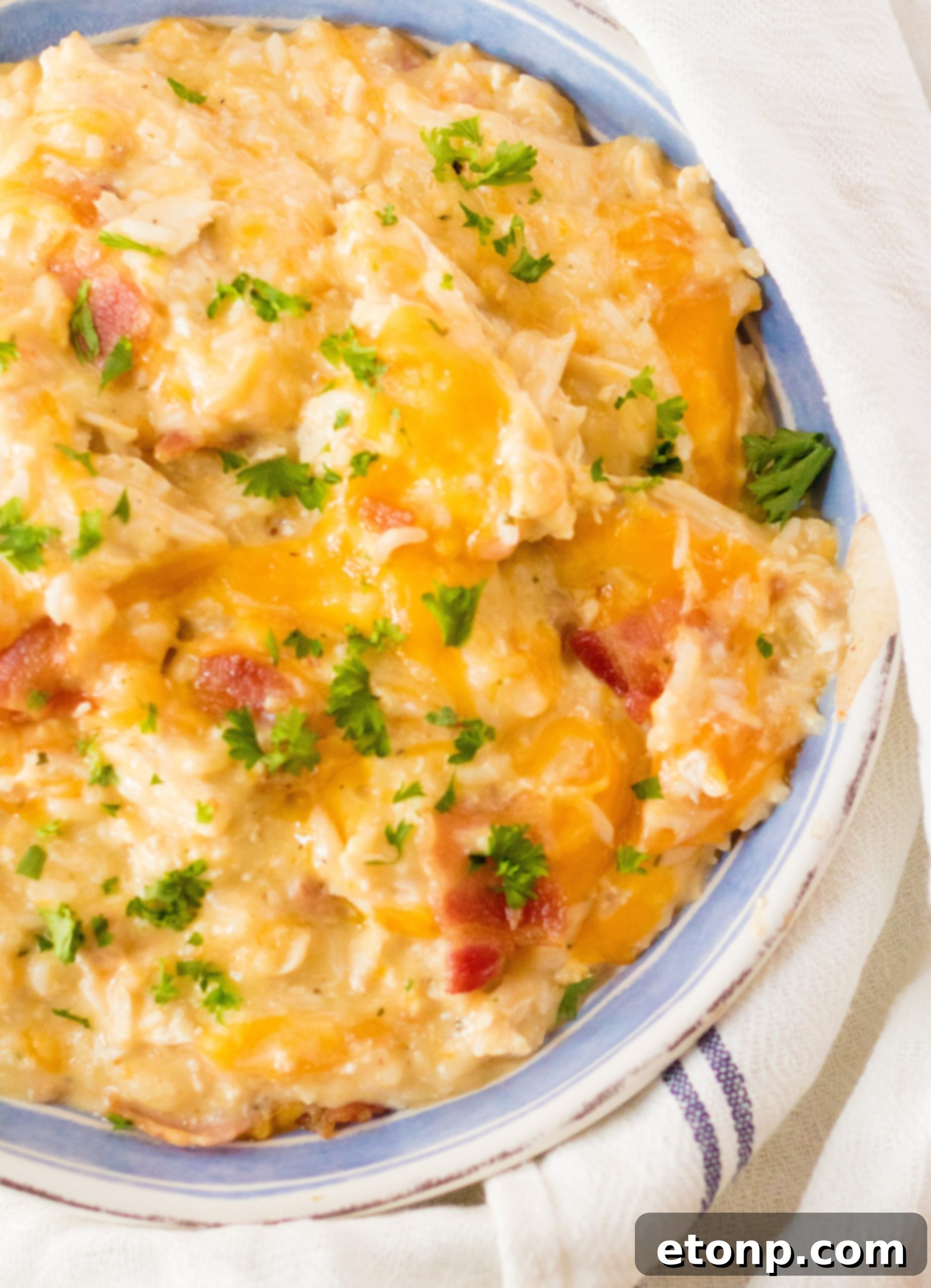 Large serving of Slow Cooker Cheesy Crack Chicken and Rice