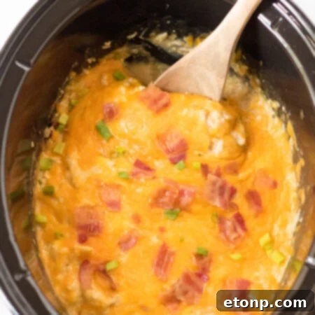 Slow Cooker Crack Chicken and Rice thumbnail