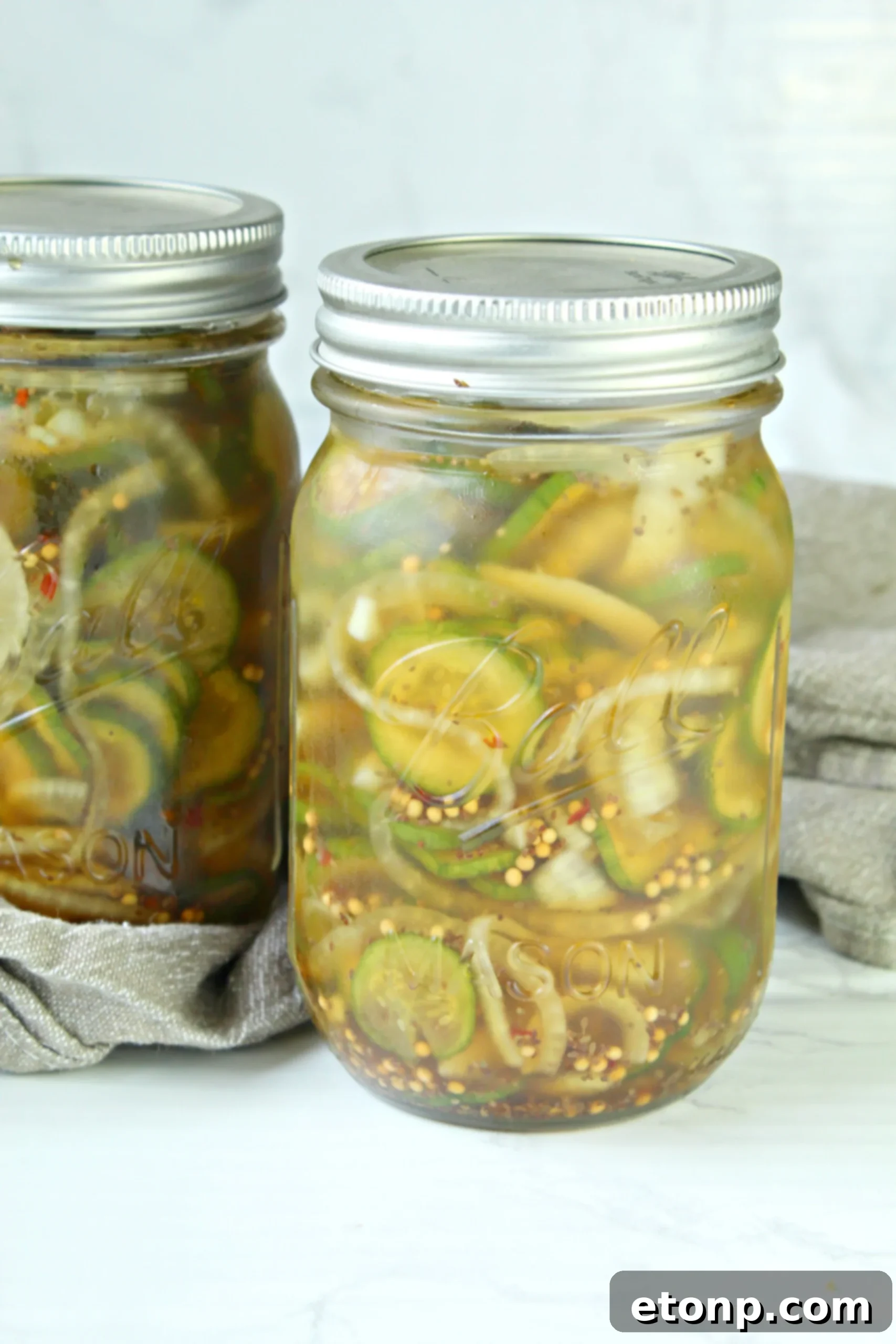 A vibrant assortment of pickling cucumbers, red onions, and fresh dill sprigs laid out on a clean surface, ready for preparing homemade pickles.