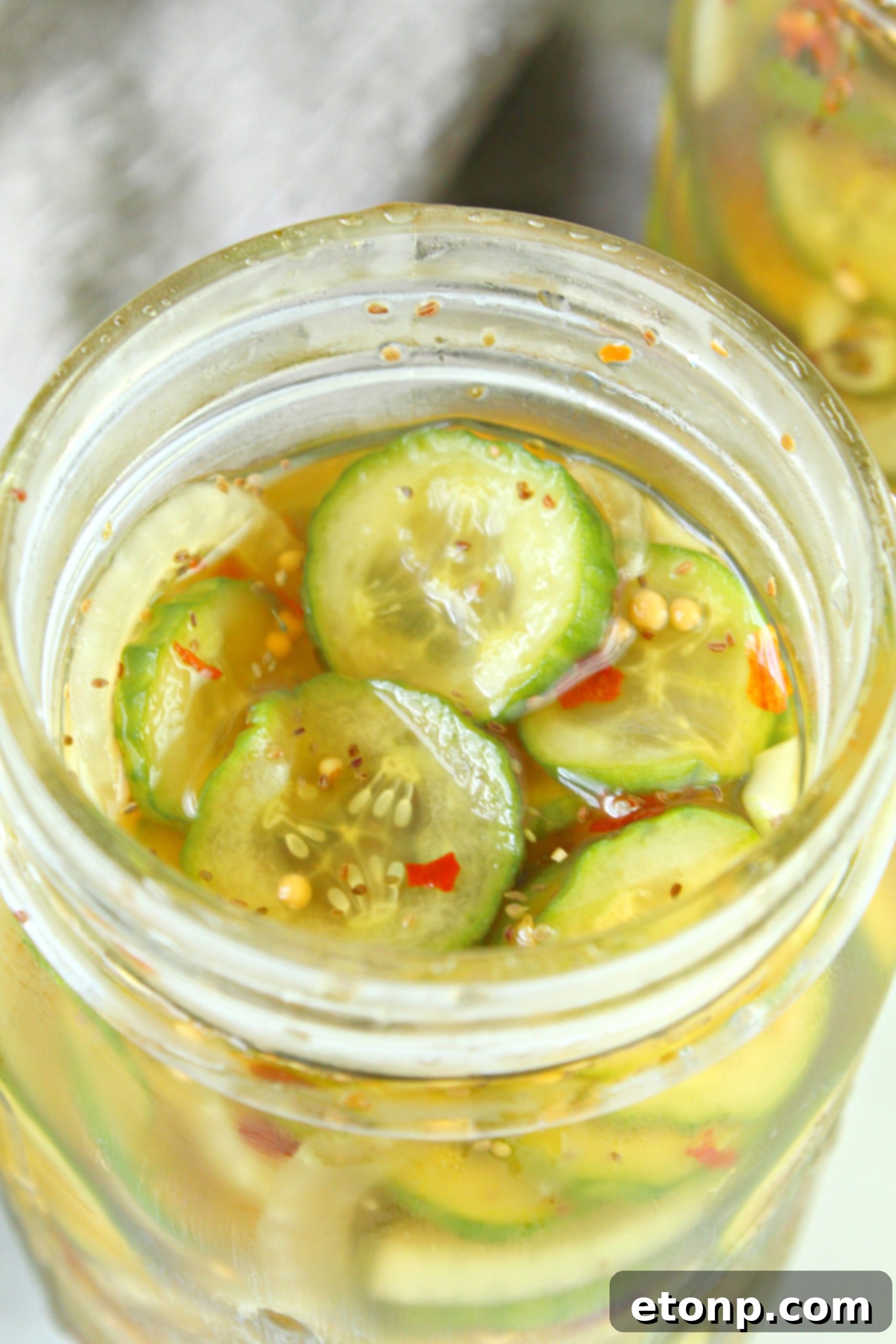 Freshly sliced white onion and pickling cucumbers in a large mixing bowl, tossed with kosher salt, ready for the chilling process before brining.