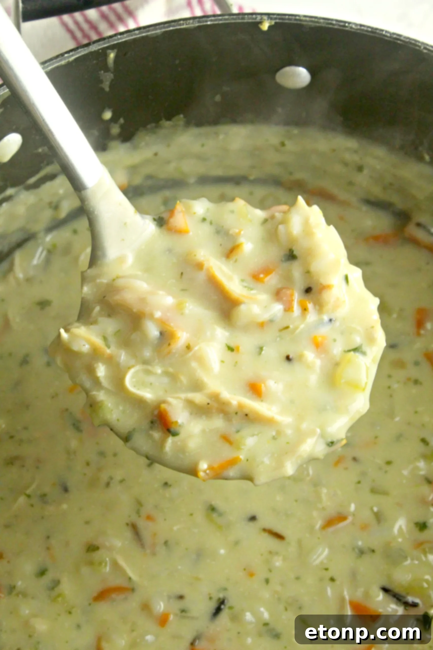 Delicious bowl of Panera-style Chicken & Wild Rice Soup, garnished with fresh herbs, ready to be enjoyed.