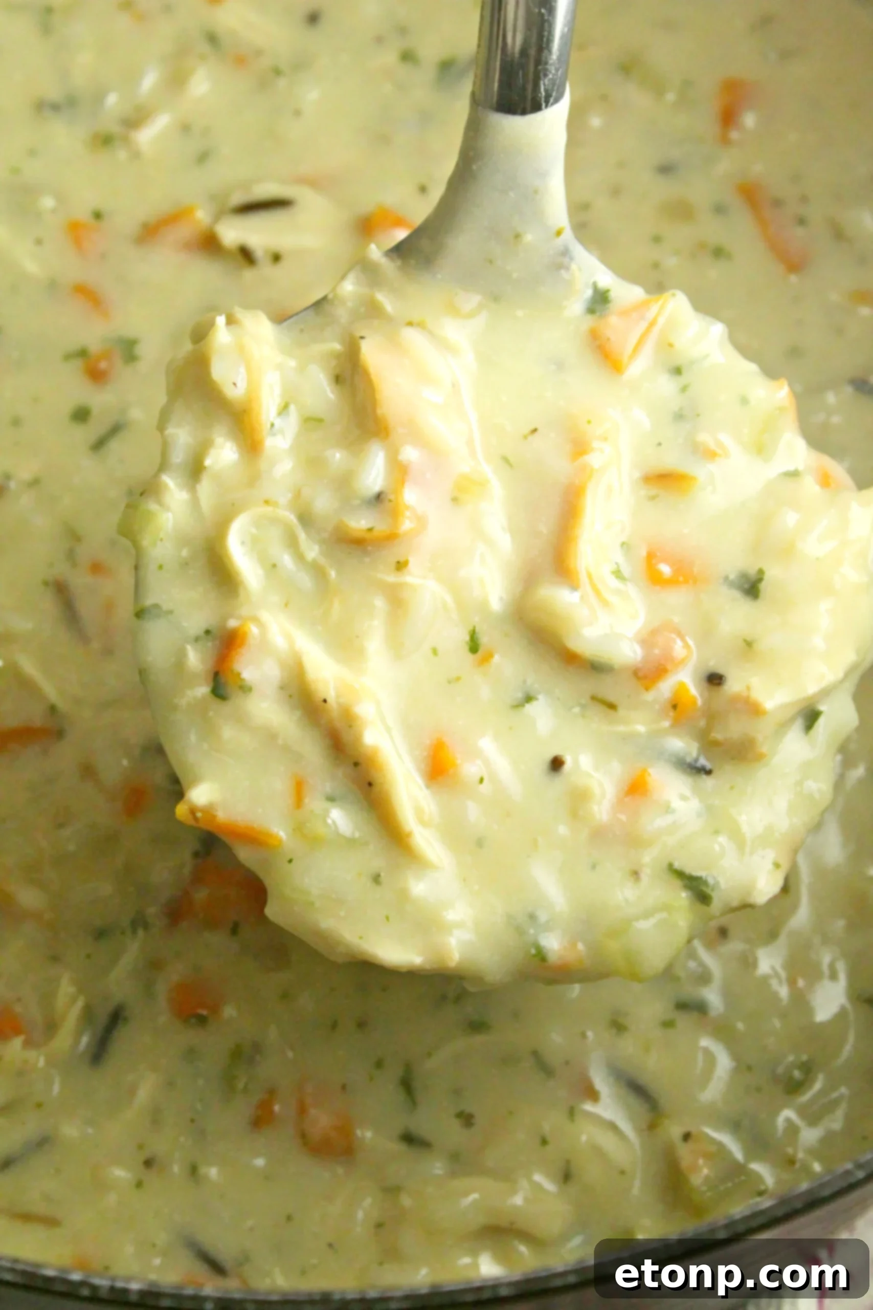 A large pot of freshly made Chicken & Wild Rice Soup simmering on the stovetop.
