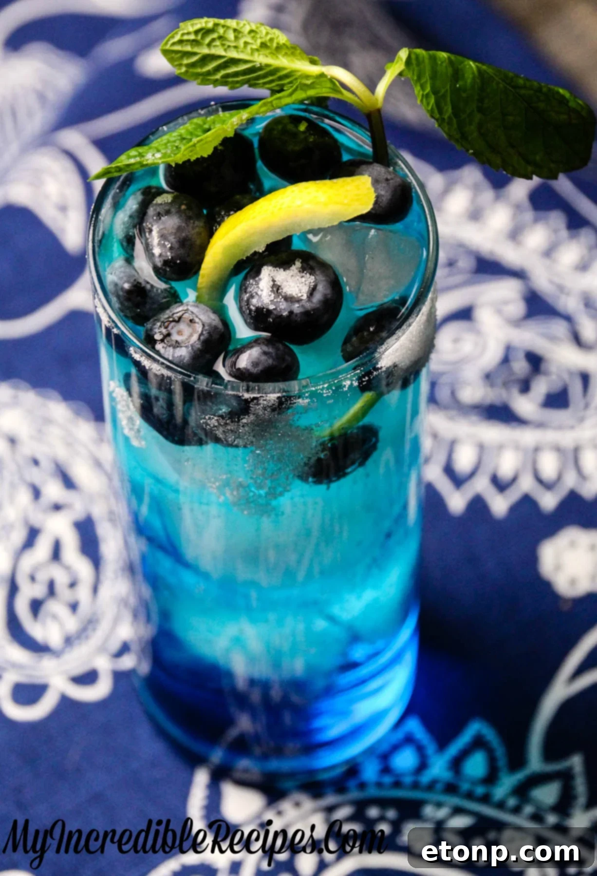 Zingy Blueberry Lemonade 2 A tall glass of Bangin' Blueberry Lemonade with fresh blueberries and a lemon slice garnish