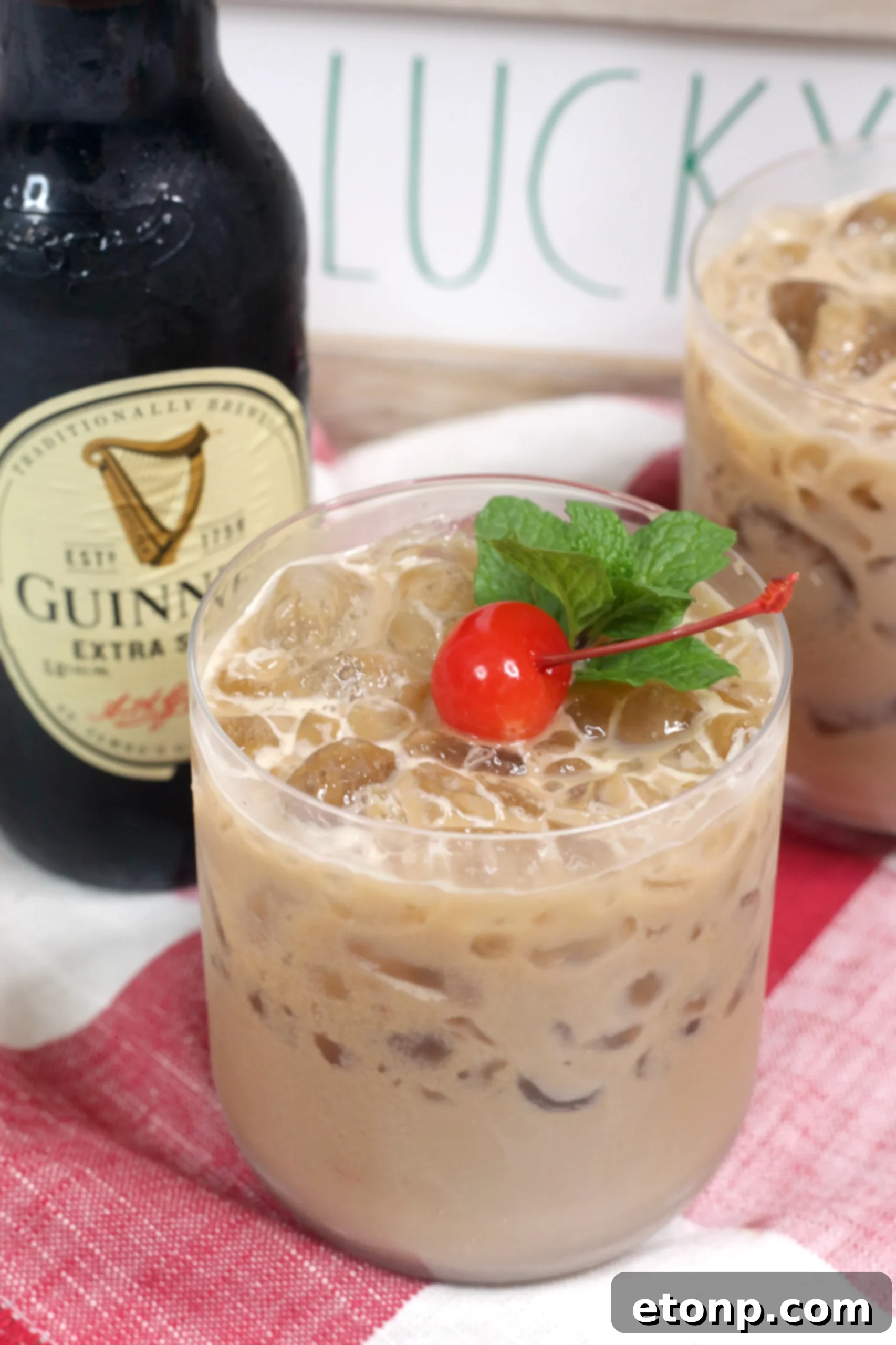 Close-up of a creamy Baileys Irish Cream McGregor Cocktail in a glass, garnished, perfect for a party.