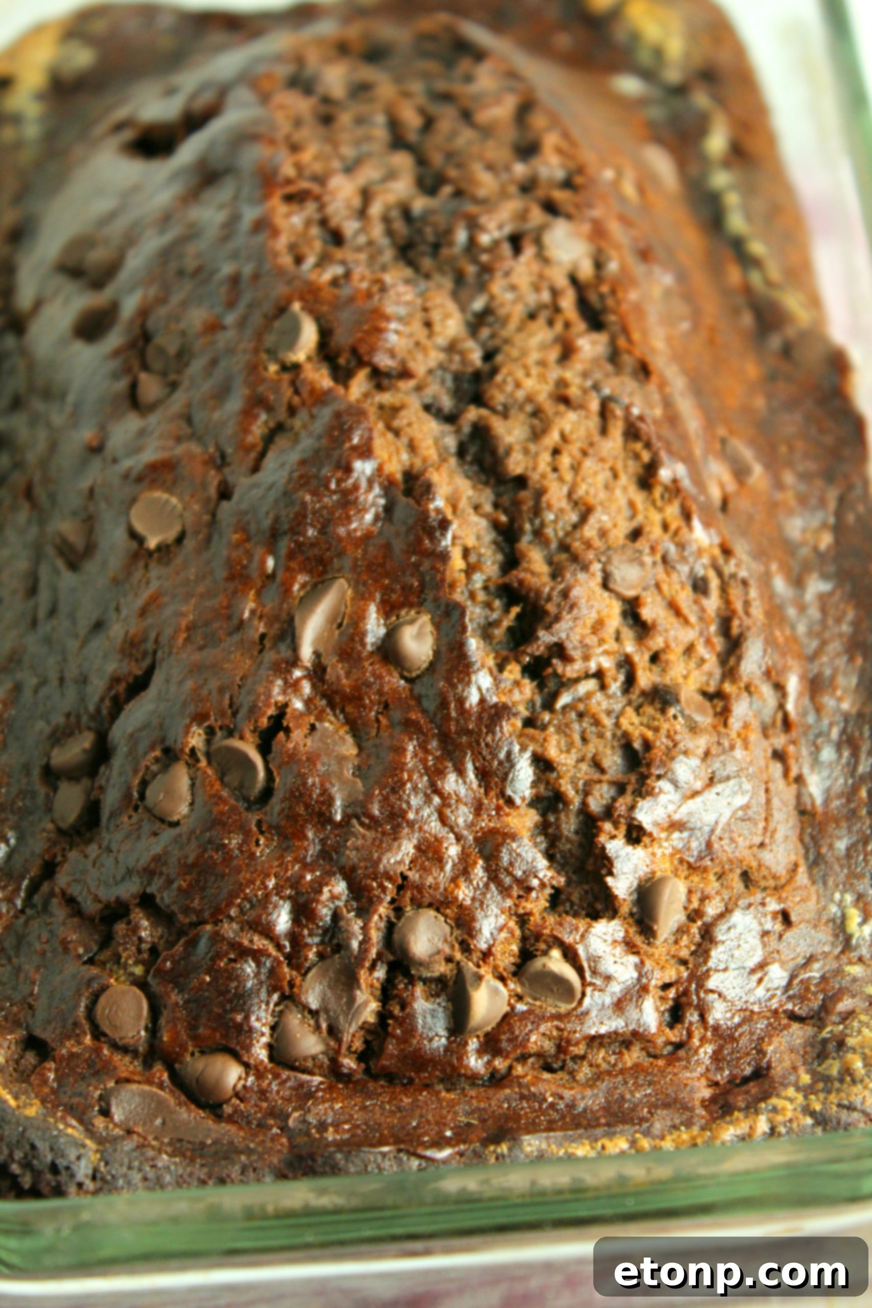 A freshly baked loaf of double chocolate banana bread cooling on a wire rack.