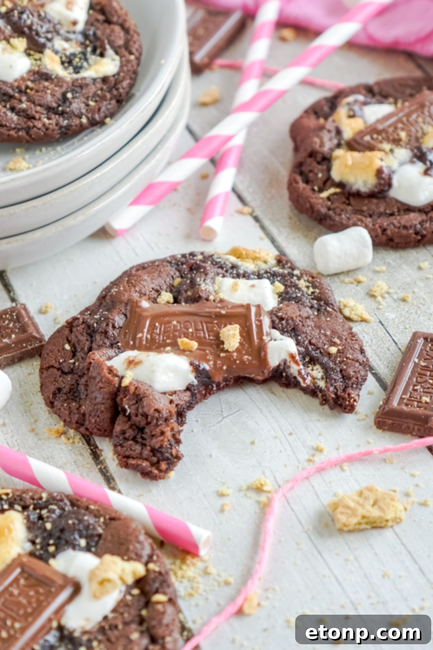 Freshly baked Hershey's Chocolate S'mores Cookies stored in an airtight container to maintain freshness.