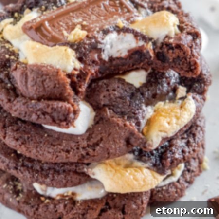 Hershey's Chocolate S'mores Cookies