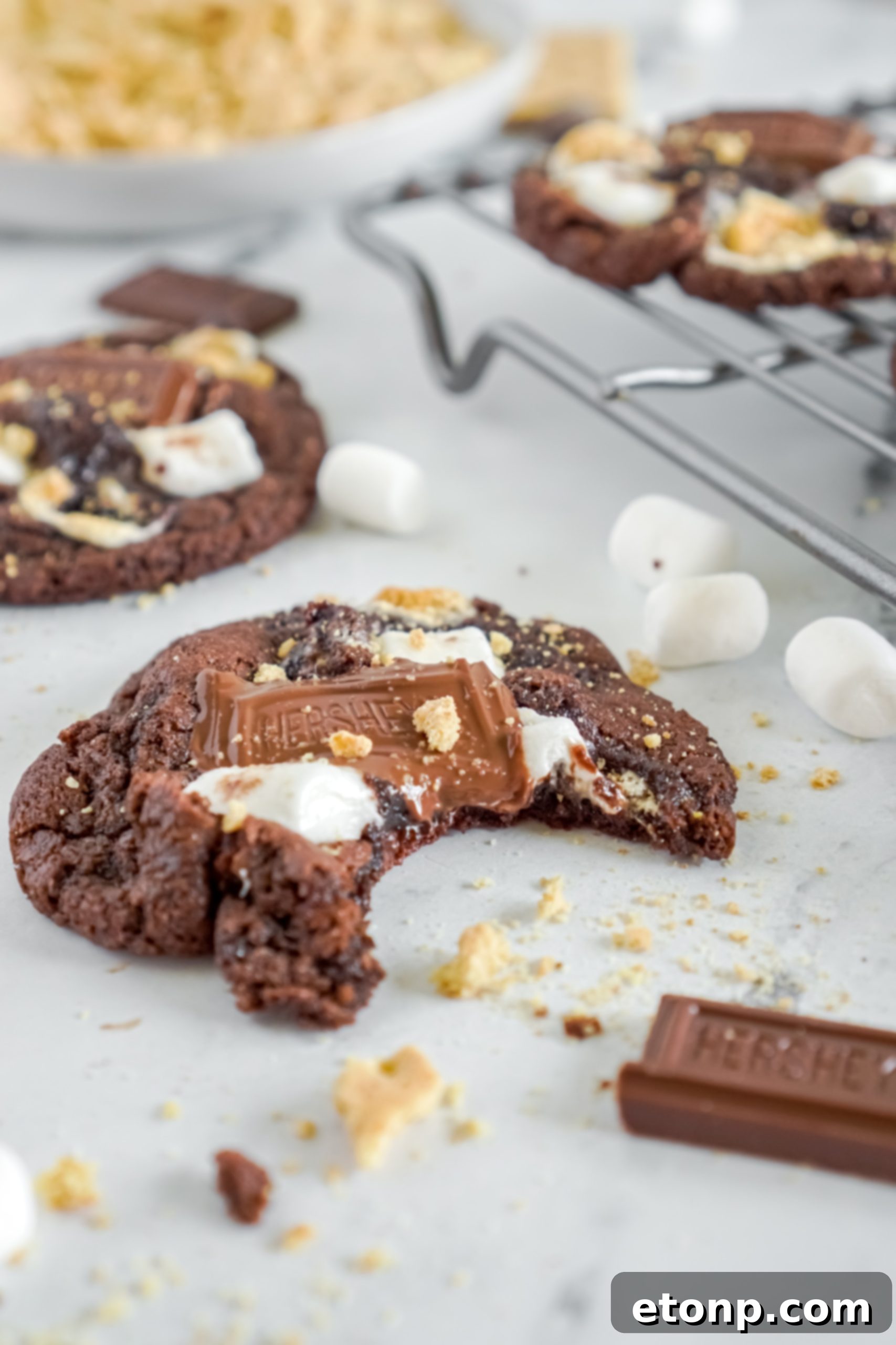 Ingredients for s'mores cookies arranged neatly, including brown sugar, eggs, and vanilla extract.