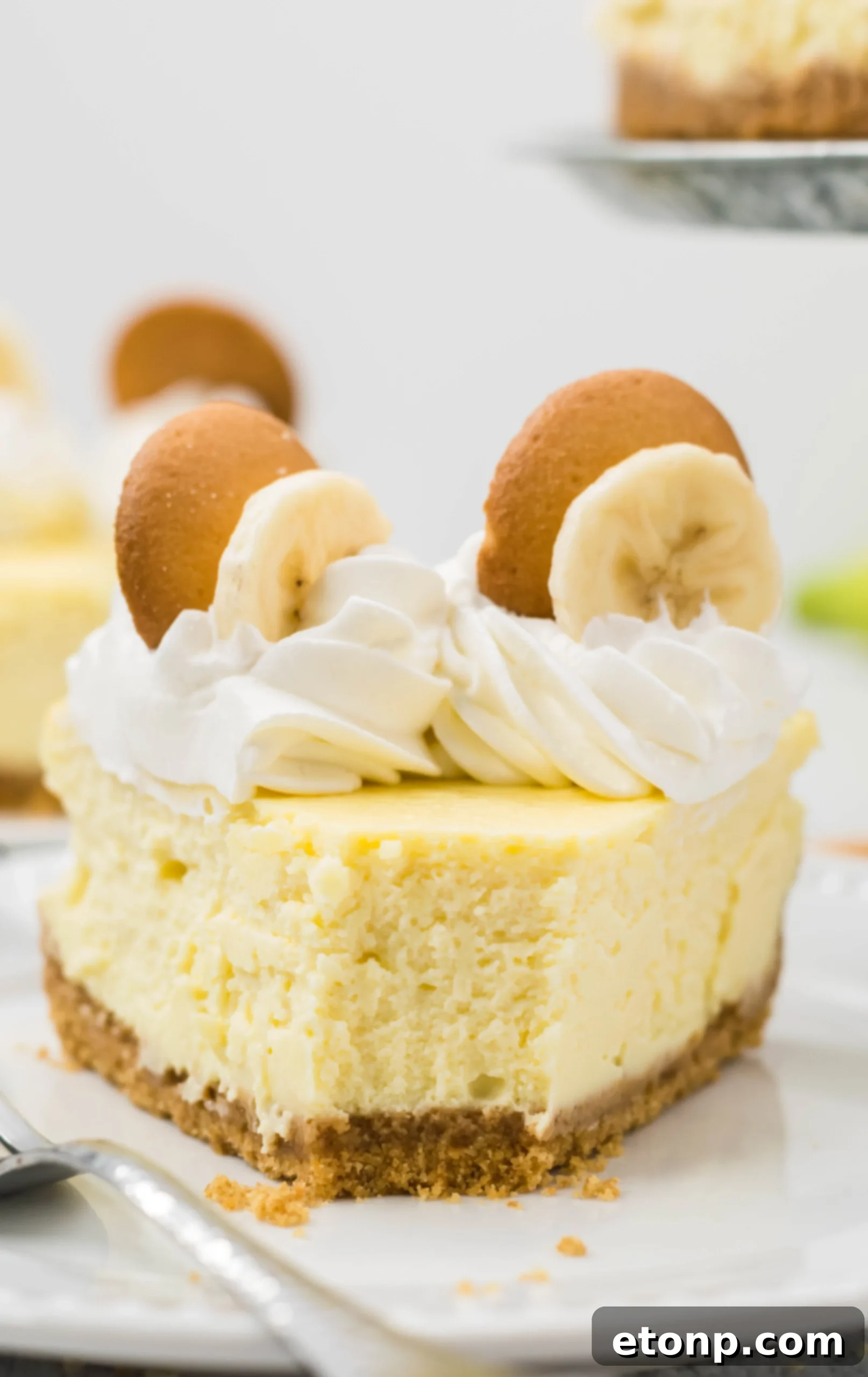 Delicious Banana Pudding Cheesecake