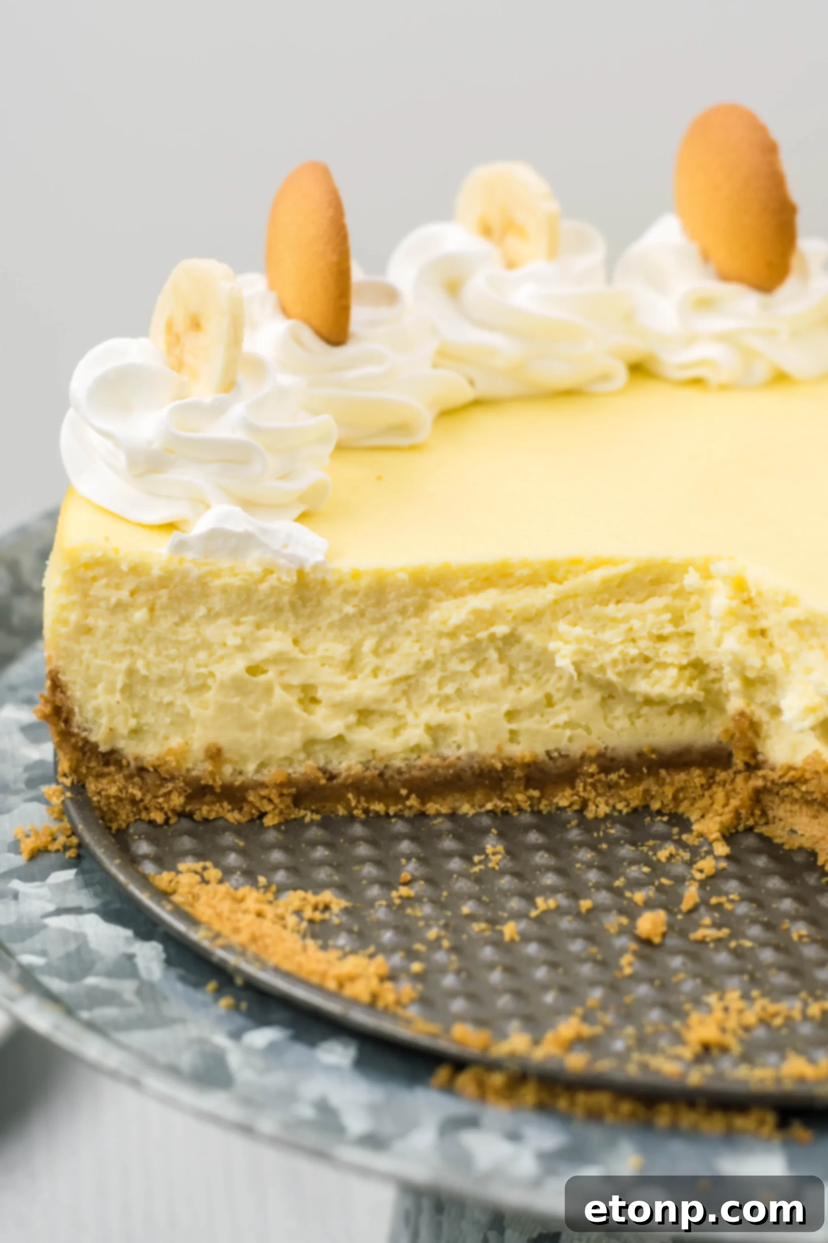 Close up of a whole Banana Pudding Cheesecake
