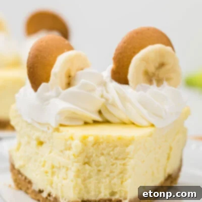 Banana Pudding Cheesecake