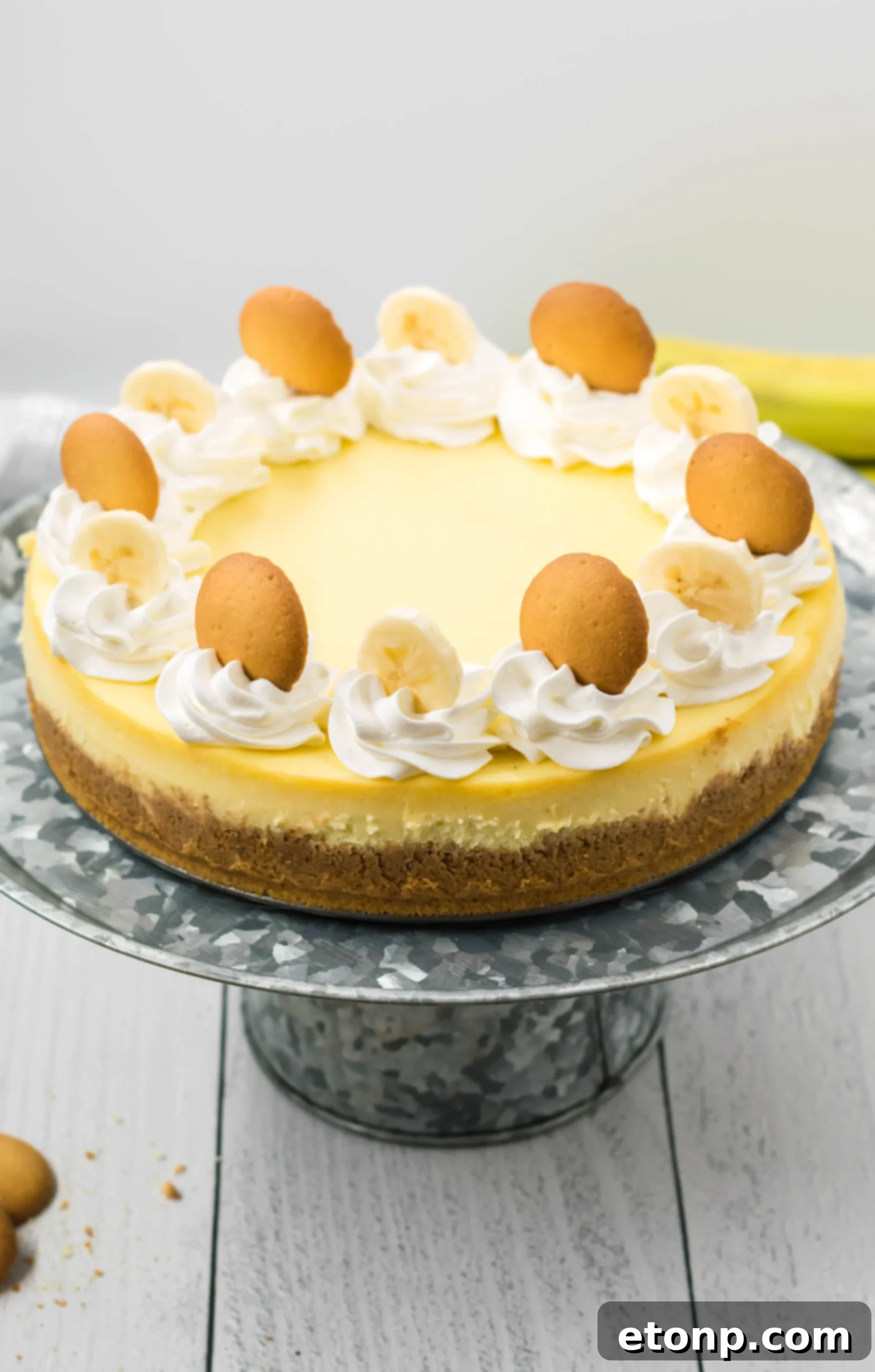 Banana Pudding Cheesecake slices