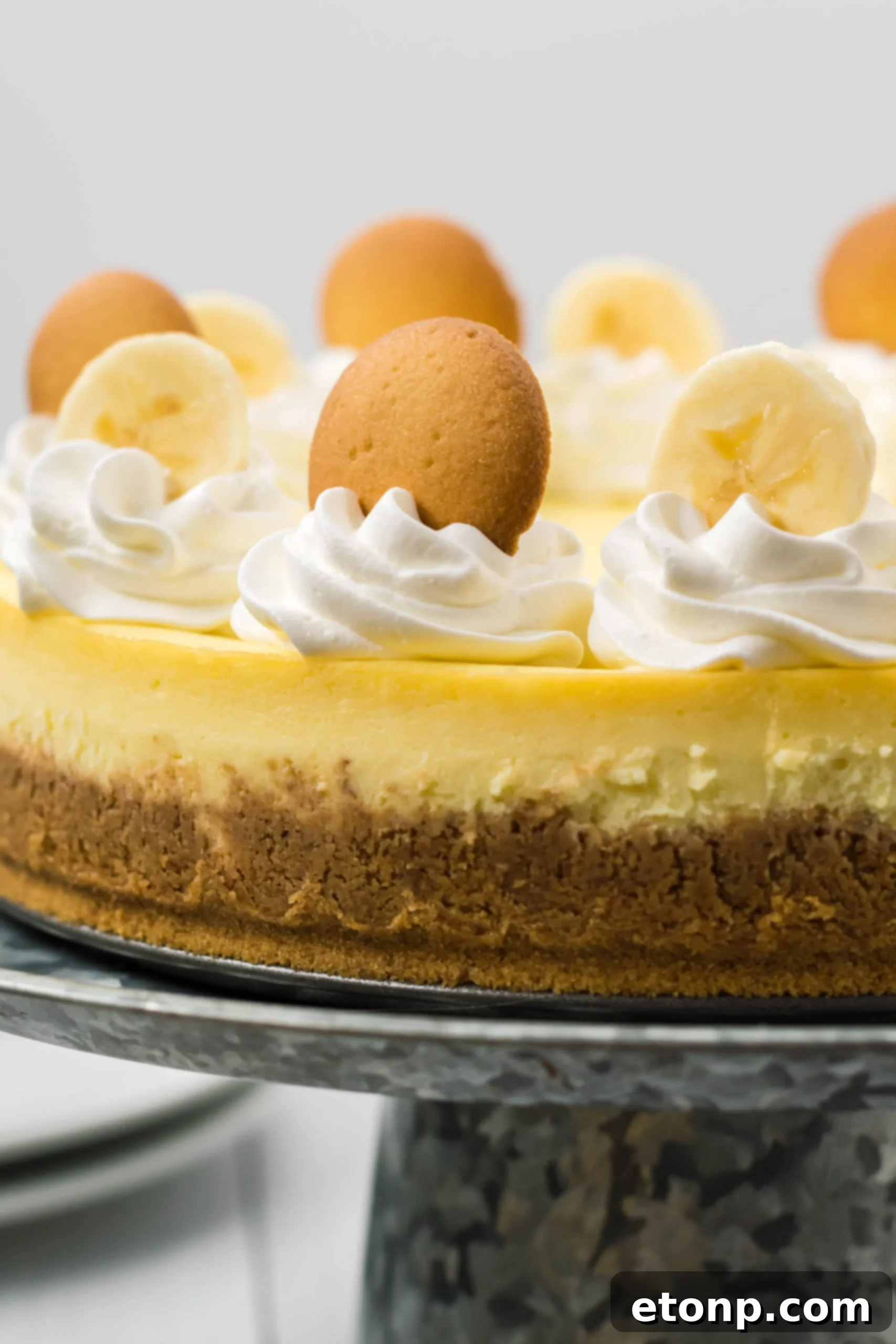 Banana Pudding Cheesecake with toppings